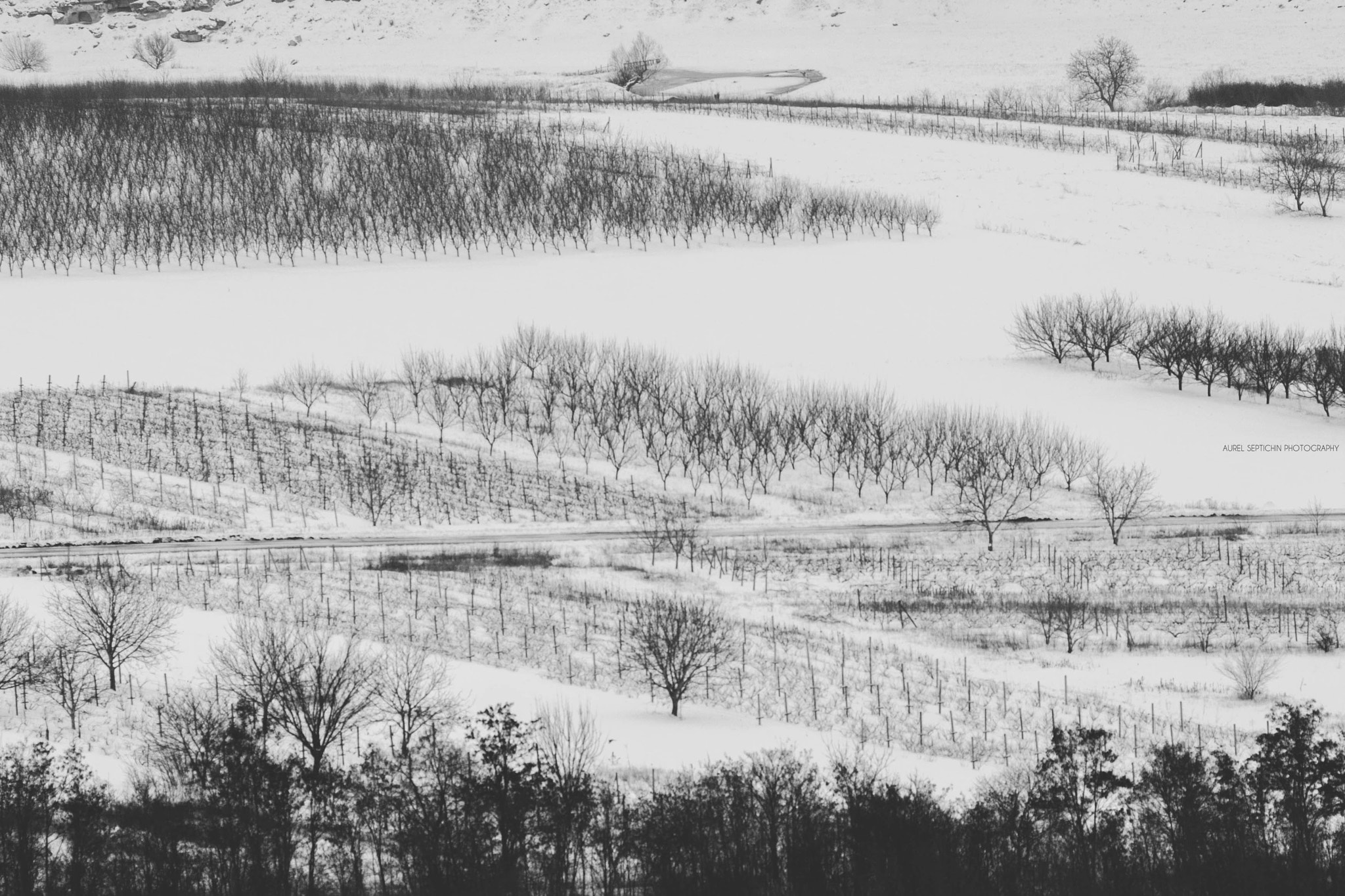 Canon EOS 1000D (EOS Digital Rebel XS / EOS Kiss F) + Canon EF 135mm F2L USM sample photo. Winter in moldova photography