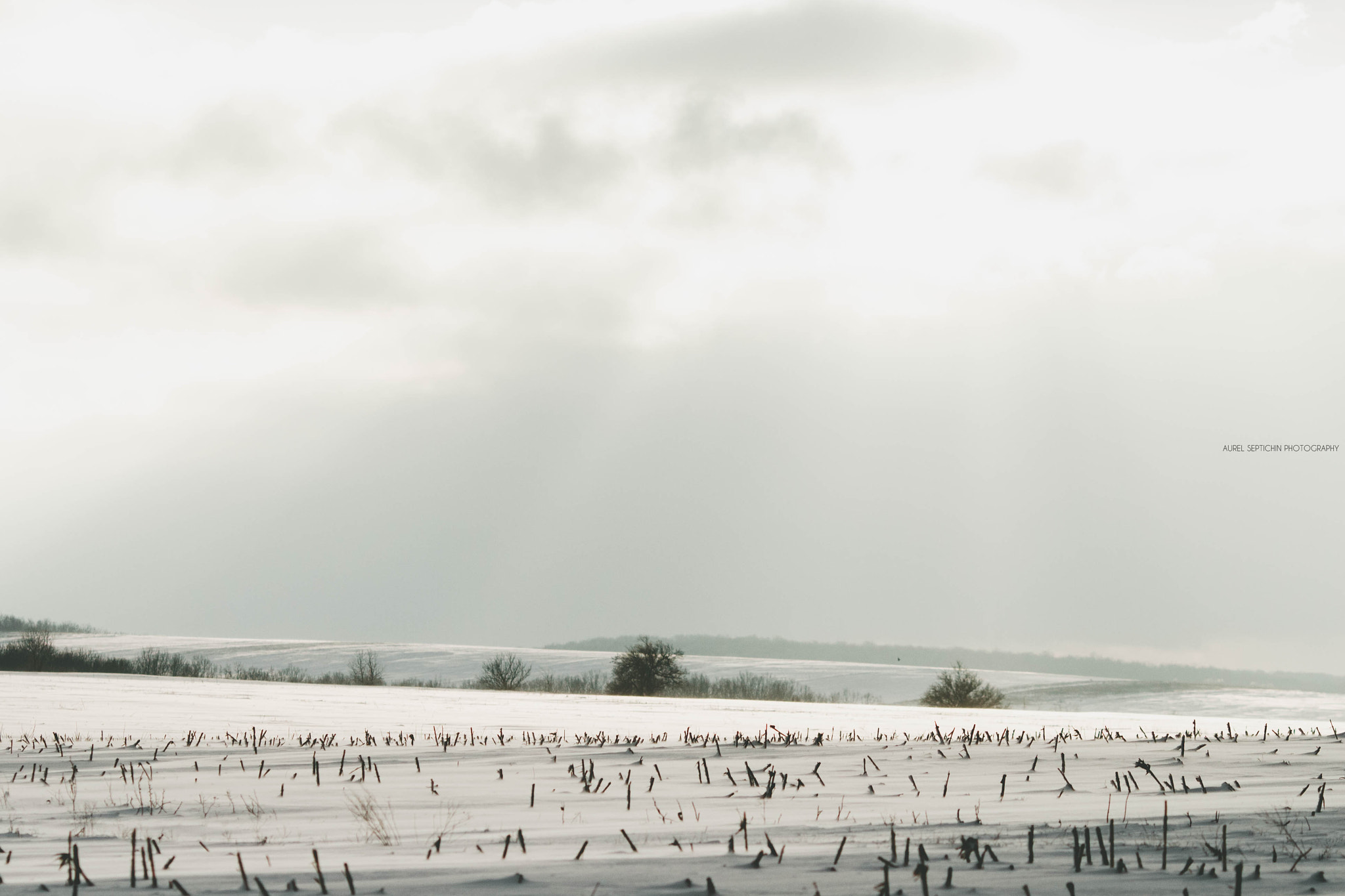Canon EOS 1000D (EOS Digital Rebel XS / EOS Kiss F) + Canon EF 135mm F2L USM sample photo. Winter in moldova photography