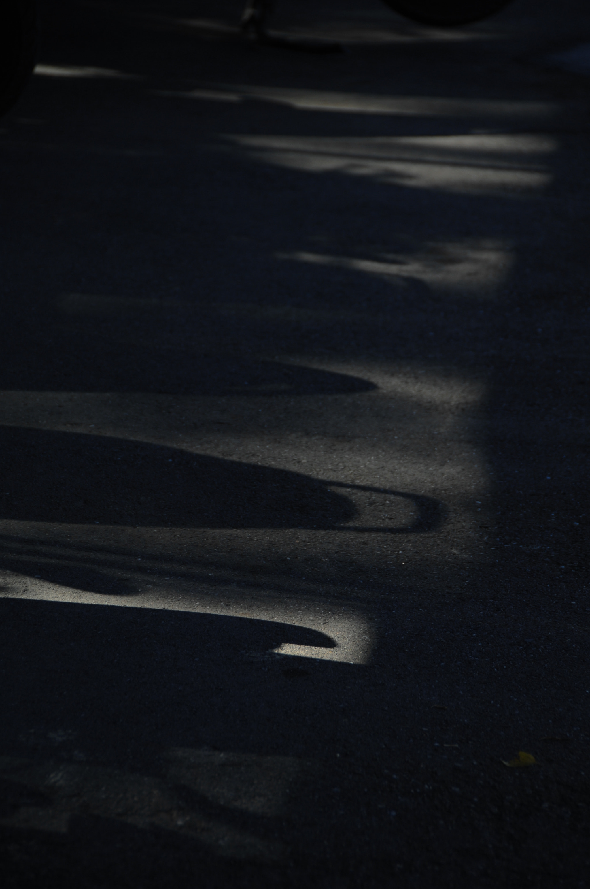 Nikon D2X sample photo. .. photography