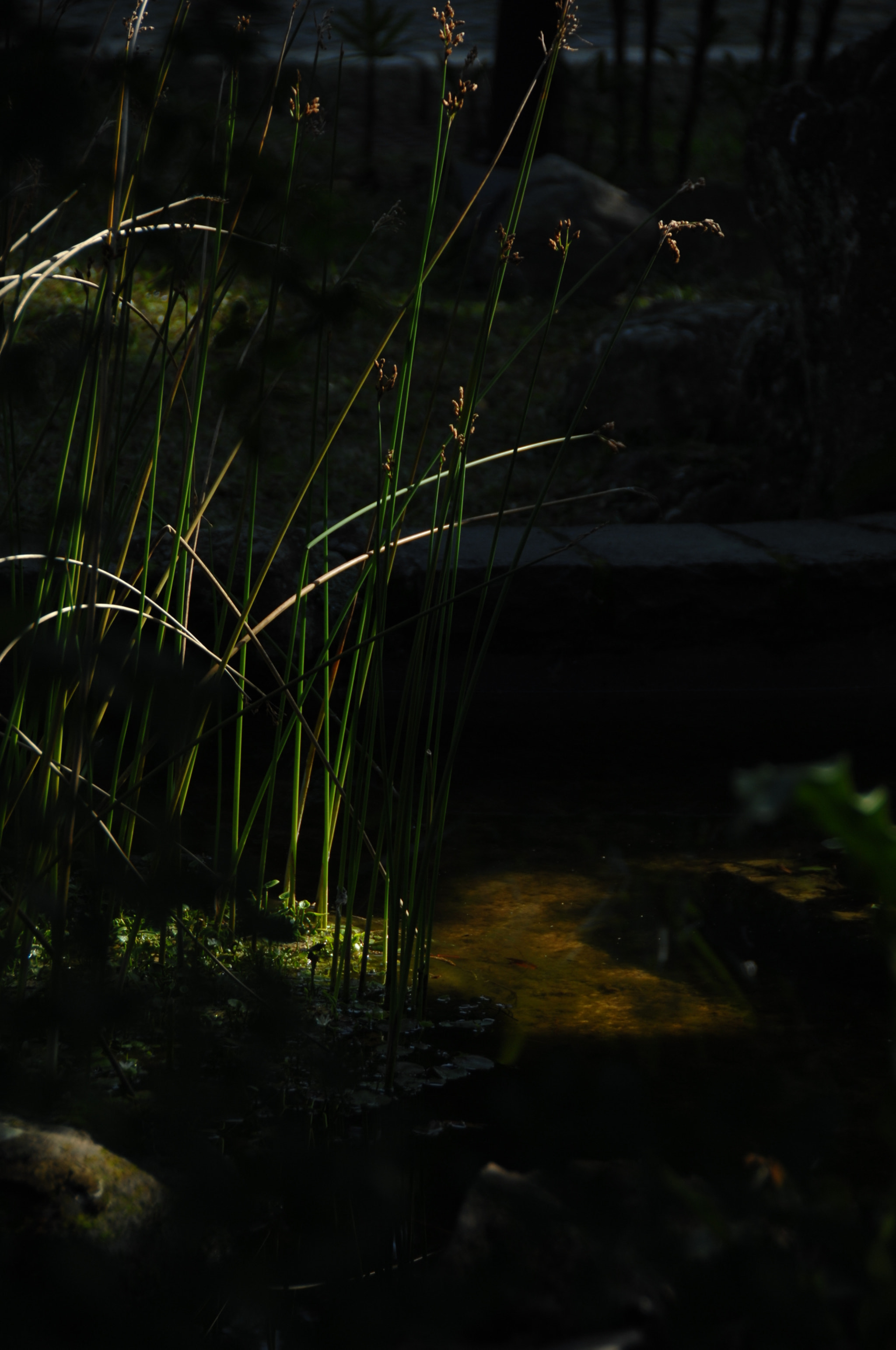 Nikon D2X sample photo. .. photography