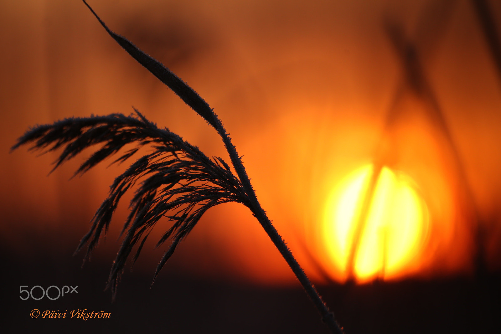 Canon EOS 6D + Canon 70-300mm sample photo. Sunrise in januray photography