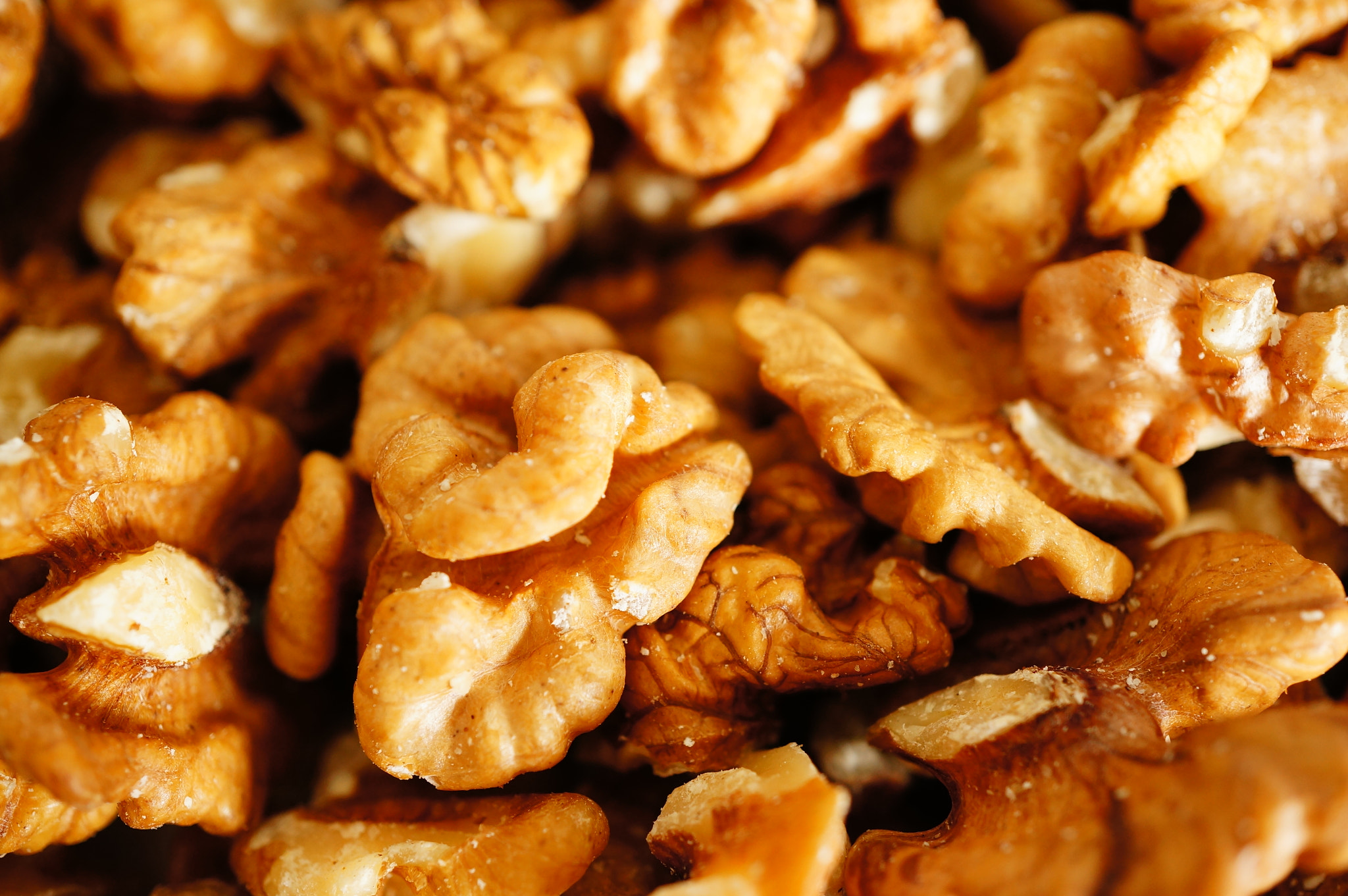 Sony Alpha NEX-5N + Sony E 30mm F3.5 Macro sample photo. Fresh walnuts photography