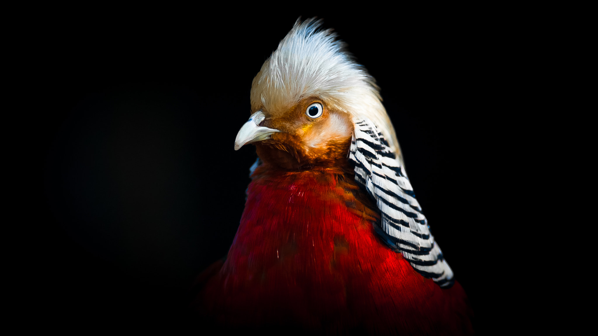Canon EF 200mm F2.8L II USM sample photo. 9.jpg photography
