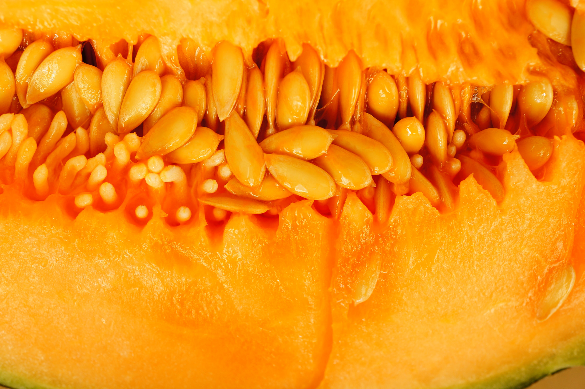 Sony Alpha NEX-5N + Sony E 30mm F3.5 Macro sample photo. Fresh melon photography