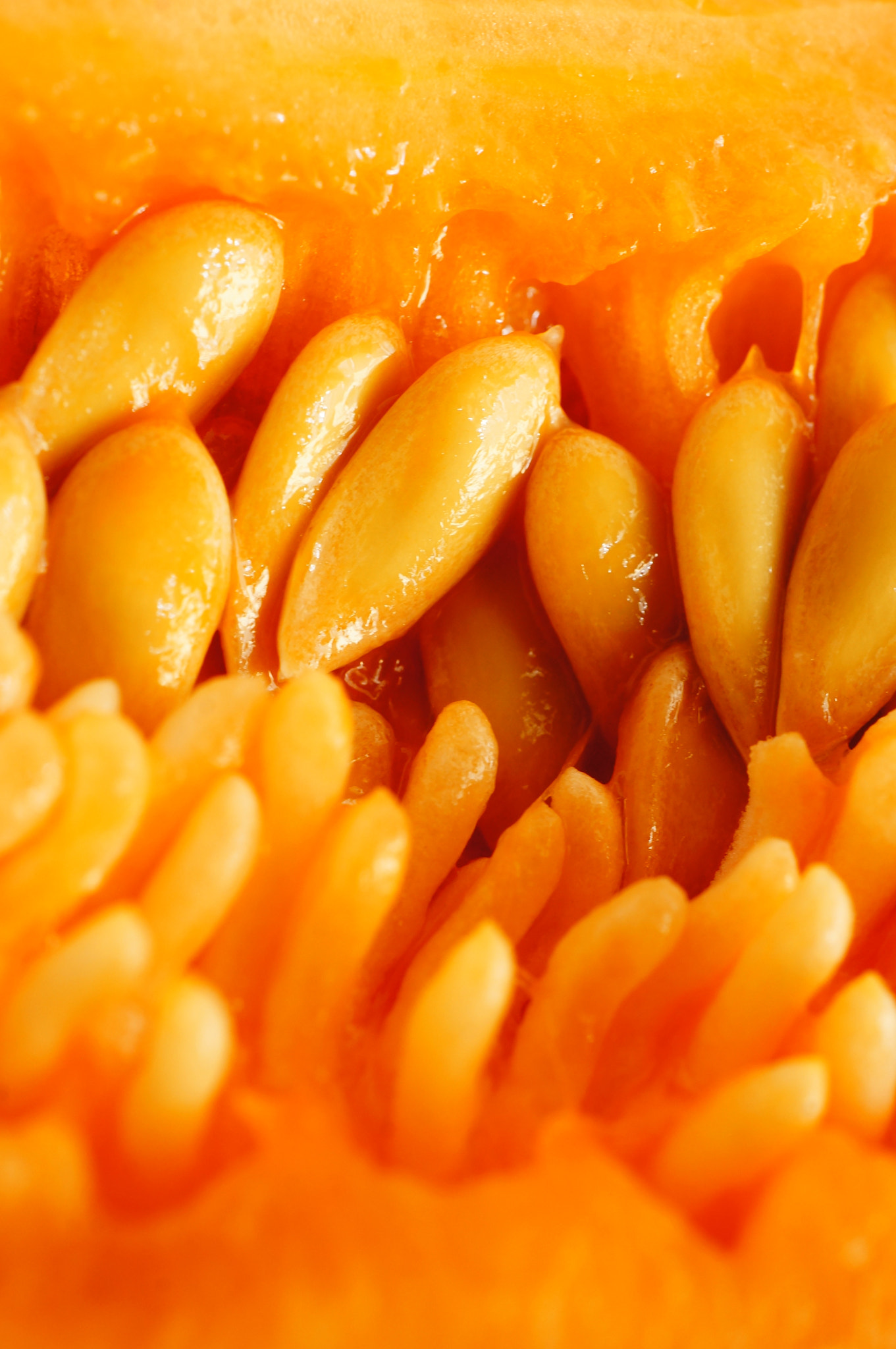 Sony Alpha NEX-5N + Sony E 30mm F3.5 Macro sample photo. Fresh melon photography