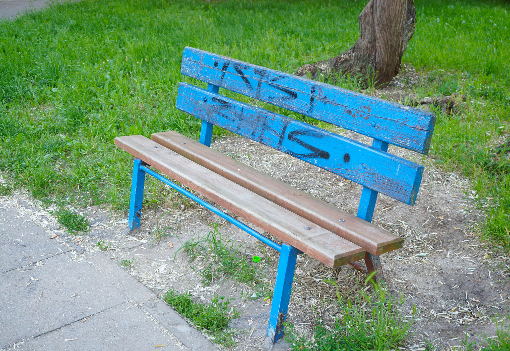 Sony Alpha NEX-5N + Sony E 30mm F3.5 Macro sample photo. Blue park bench photography