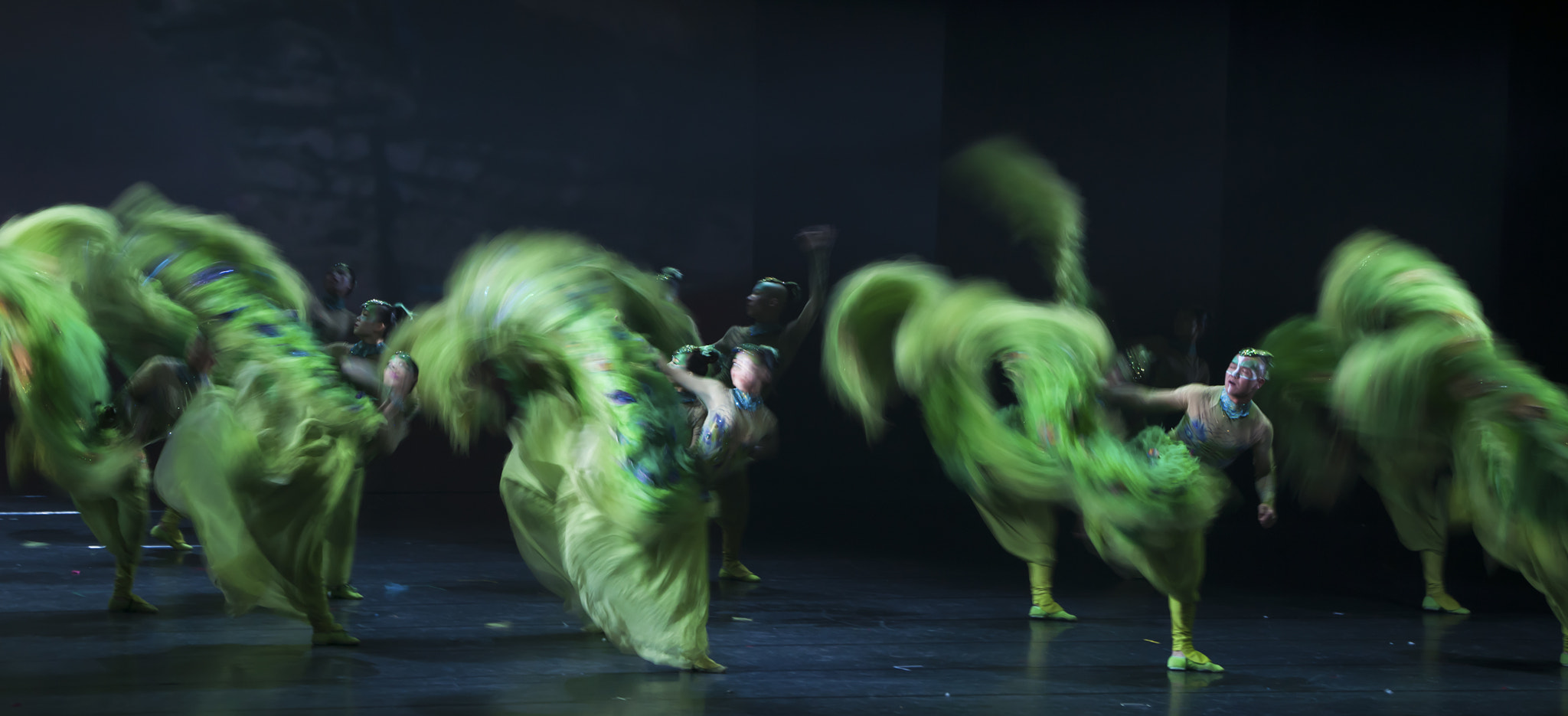 Sony Alpha DSLR-A900 + Sony 70-400mm F4-5.6 G SSM sample photo. Ballet   《the peacock》-3 photography