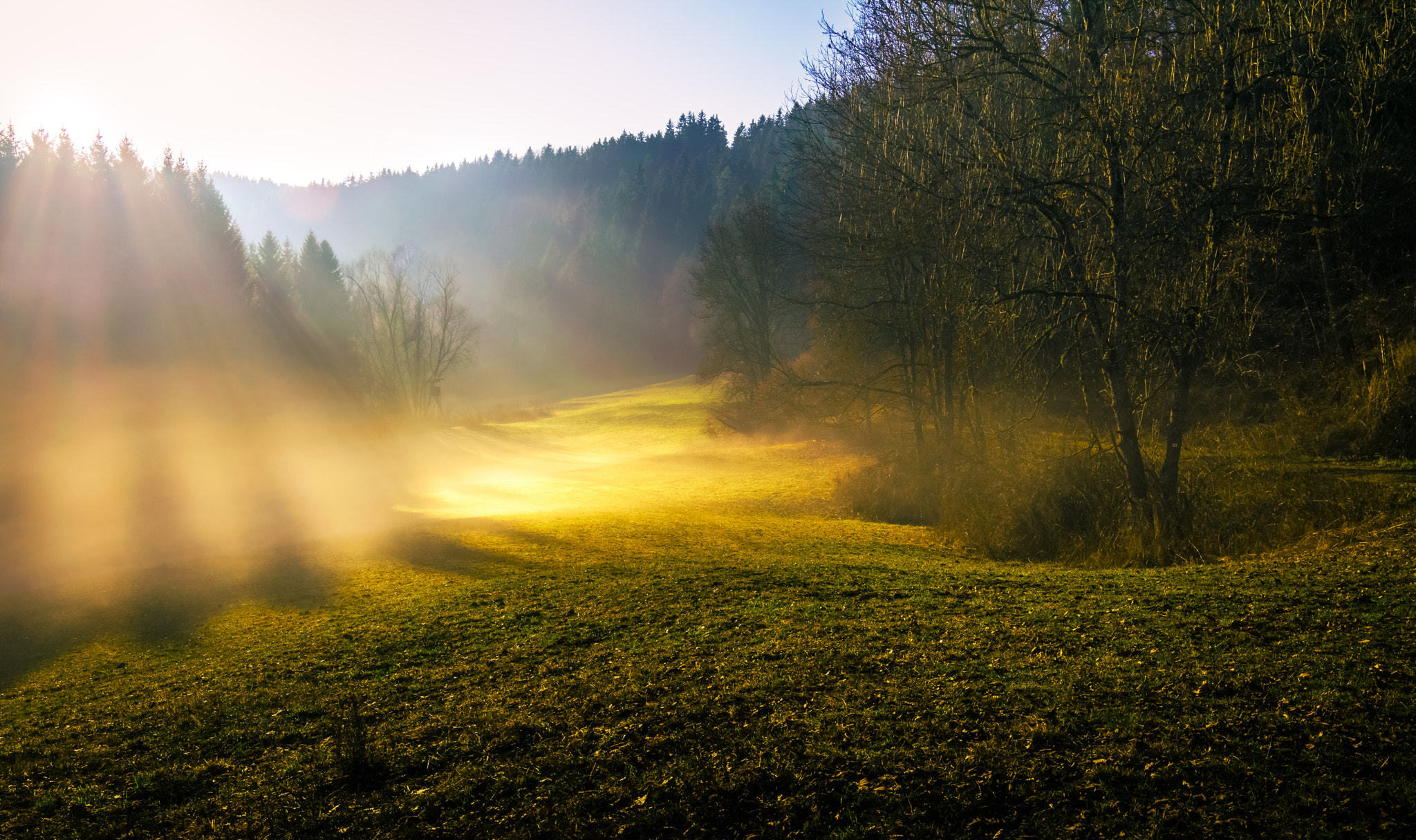 Nikon D5300 + Tokina AT-X 12-28mm F4 Pro DX sample photo. The sun shines through the fog photography