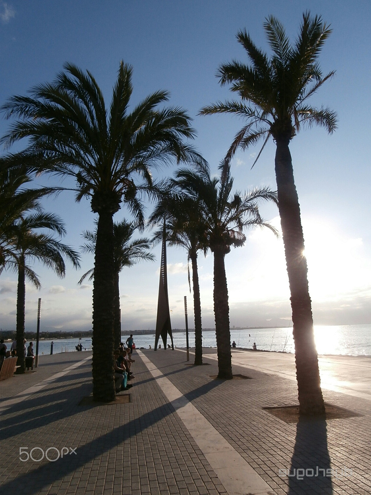 Olympus VR350,D755 sample photo. Spanish palms (1309) photography