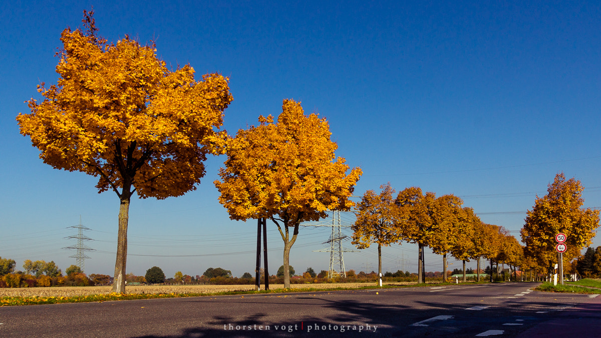 Sony SLT-A77 sample photo. Fotosbytoddi photography