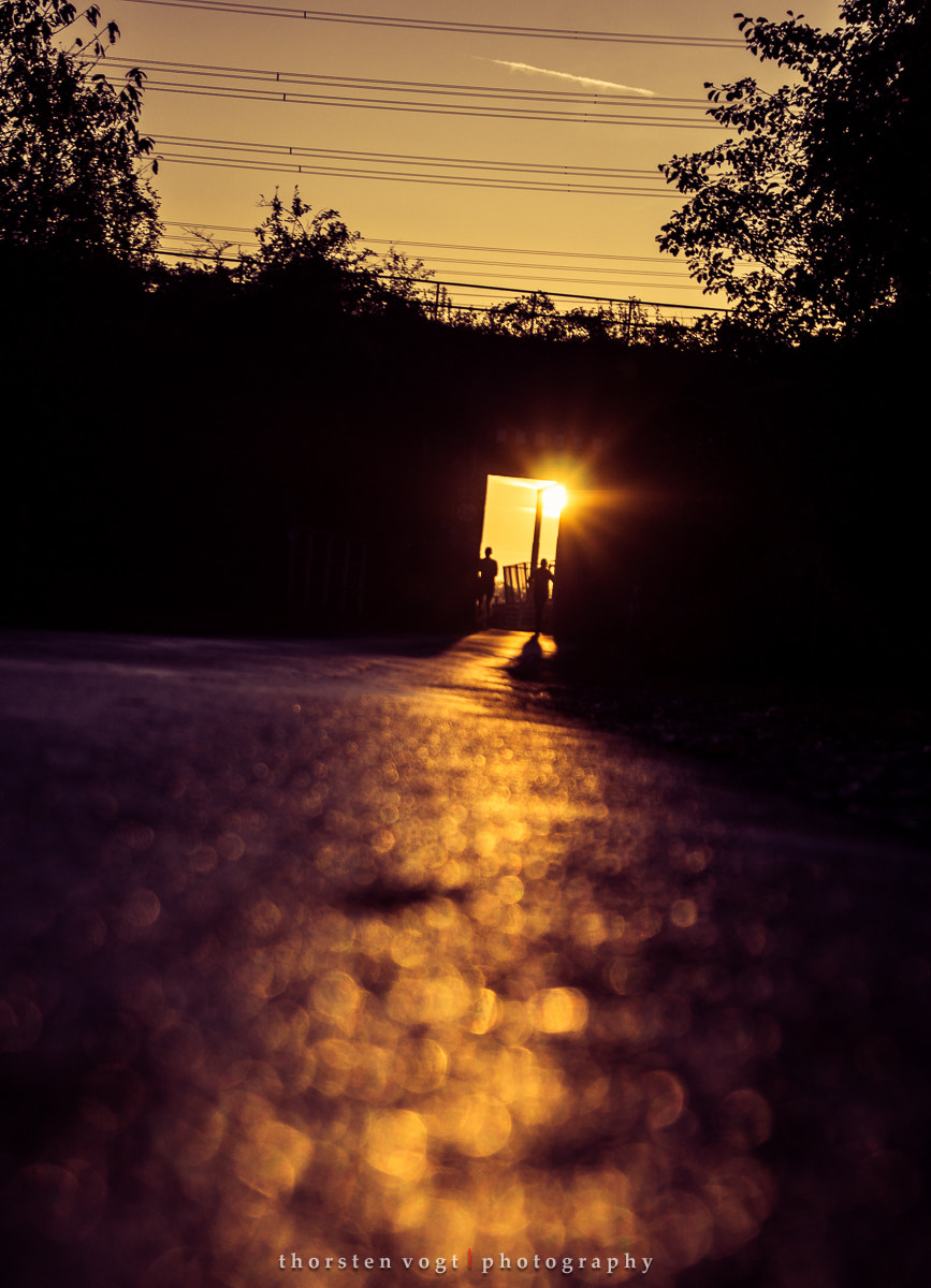 Sony SLT-A77 sample photo. Walk photography