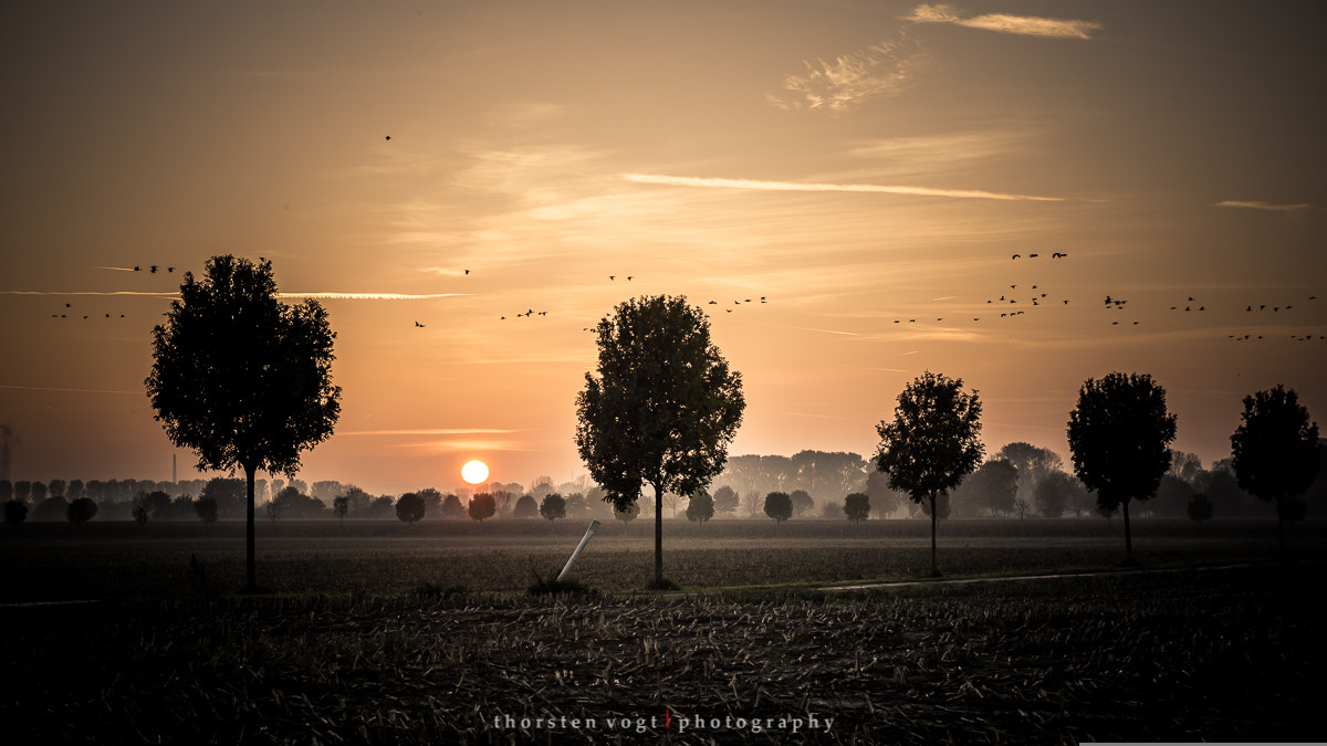 Sony SLT-A77 sample photo. Sunset fotosbytoddi photography