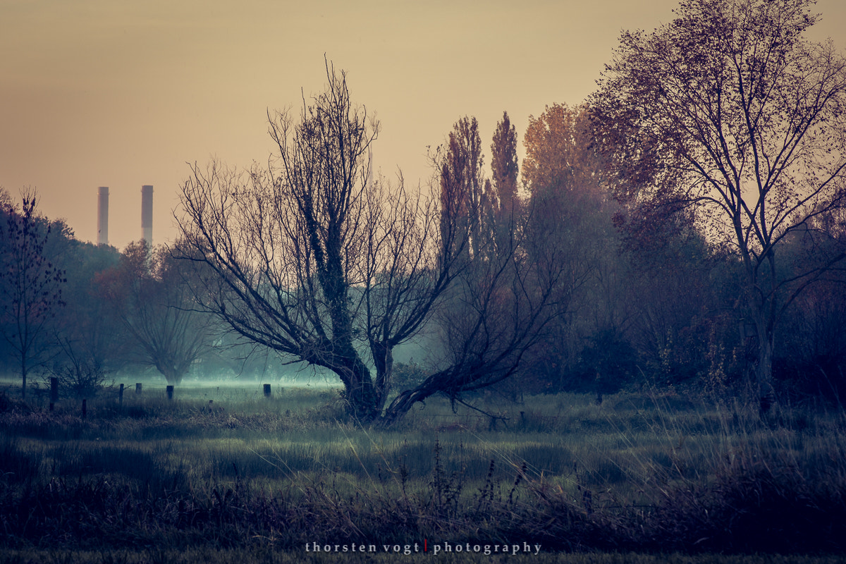 Sony SLT-A77 sample photo. Fotosbytoddi photography