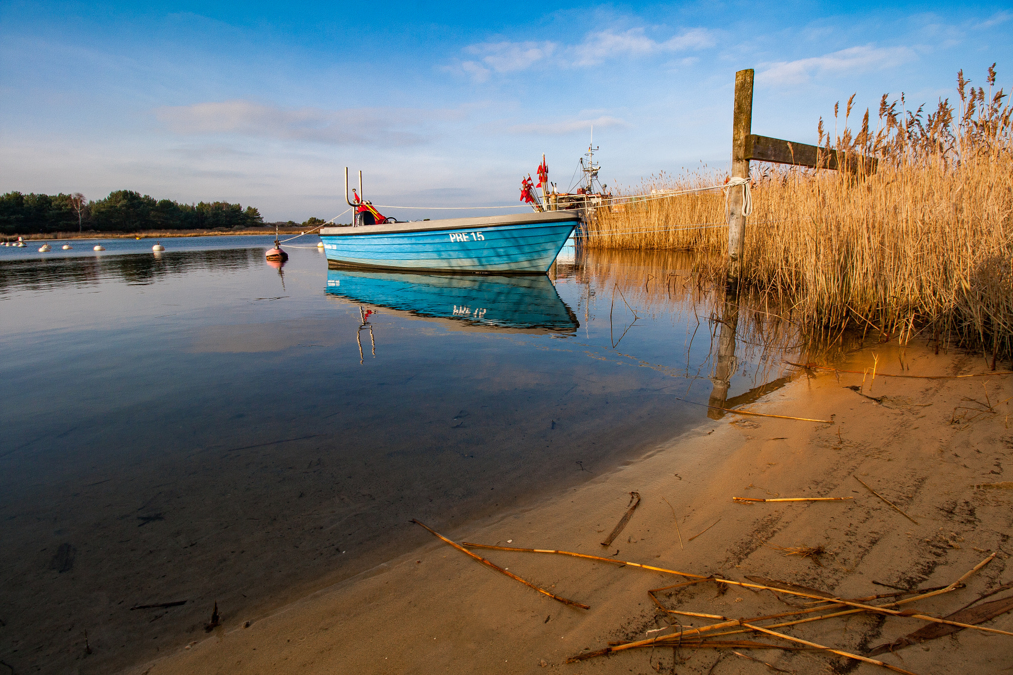 Canon EF-S 10-18mm F4.5–5.6 IS STM sample photo. Leashed | prerow, germany photography