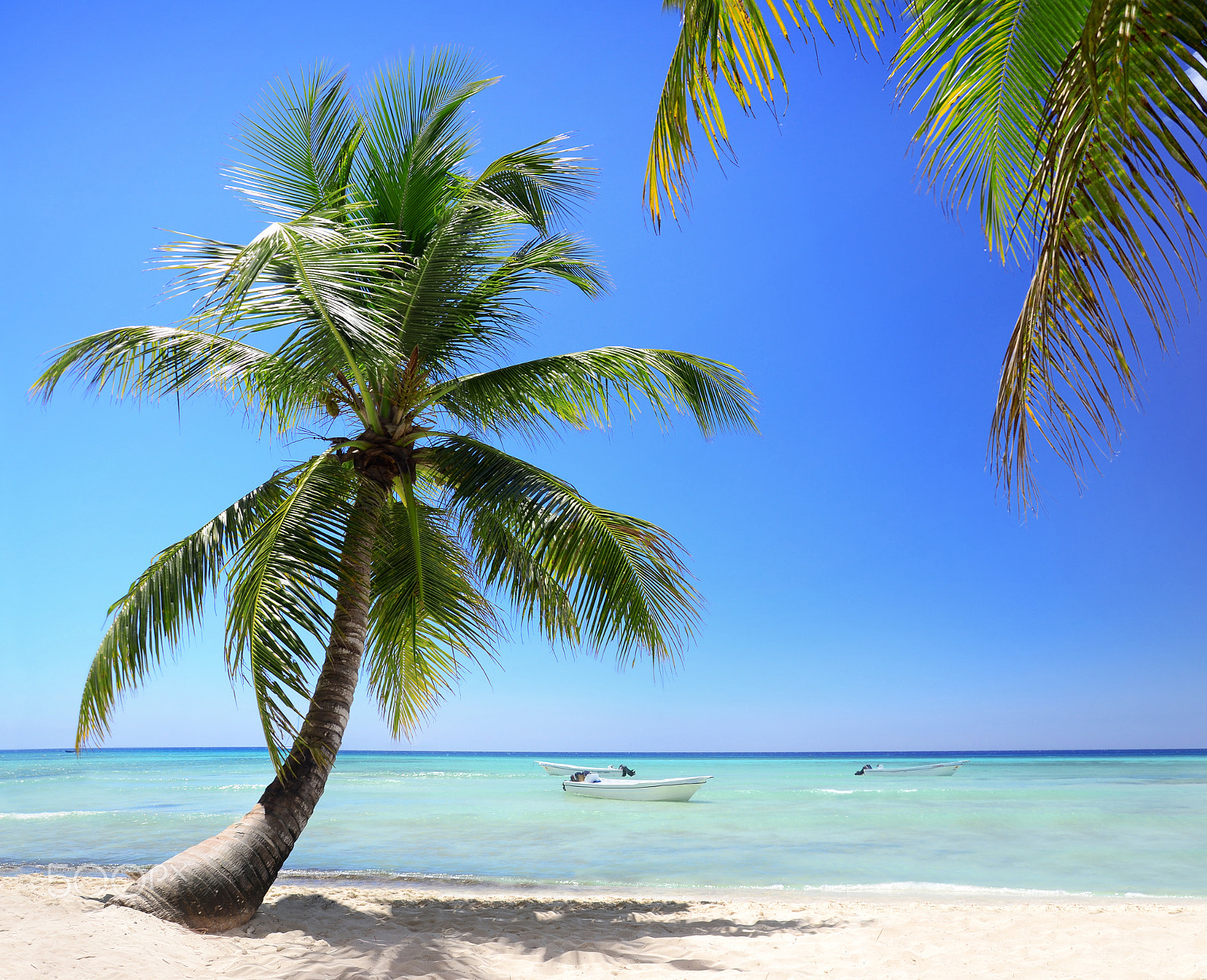 Nikkor 500mm f/4 P ED IF sample photo. Exotic beach in dominican republic, punta cana photography