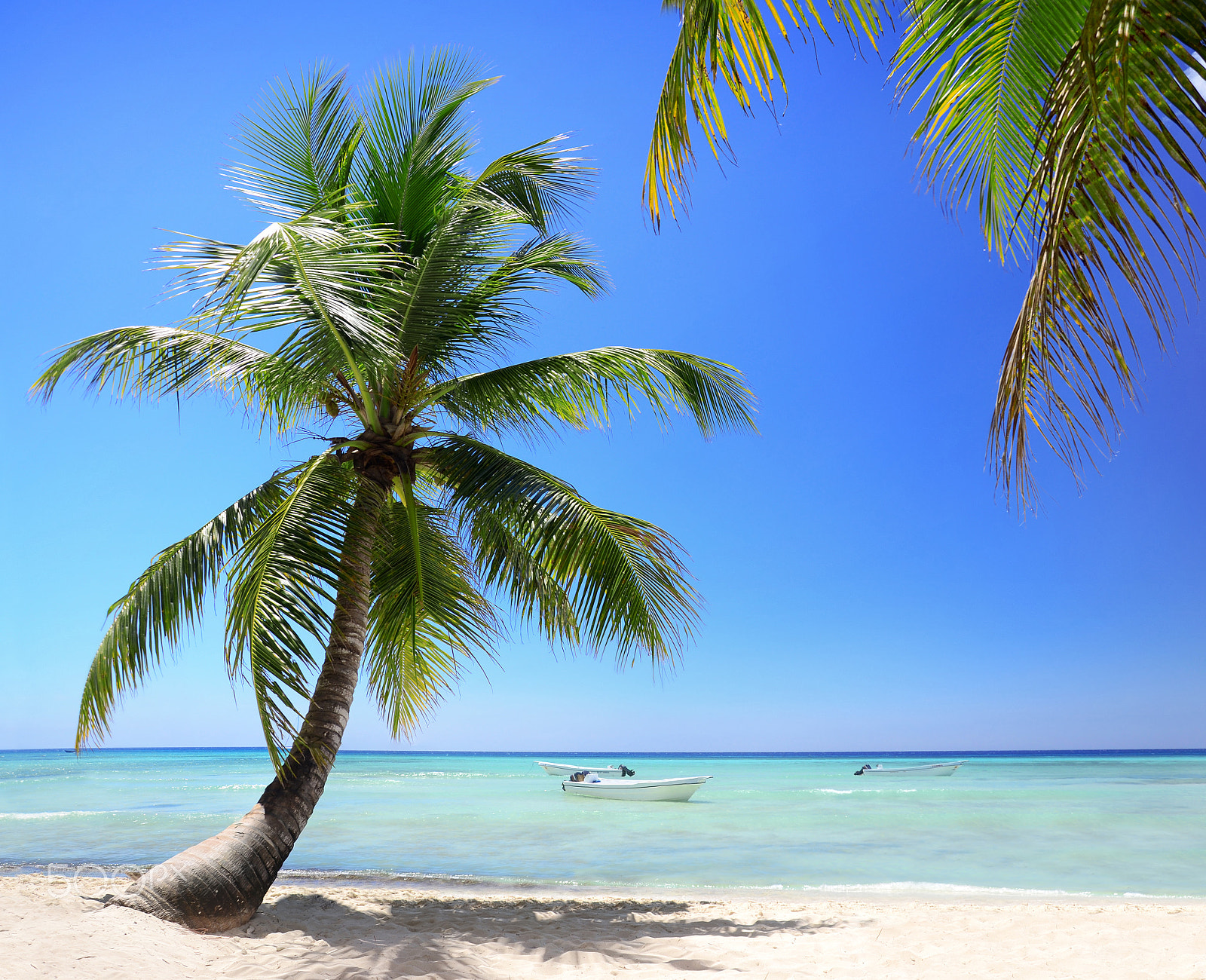 Nikon D7000 + Nikkor 500mm f/4 P ED IF sample photo. Exotic beach in dominican republic, punta cana photography