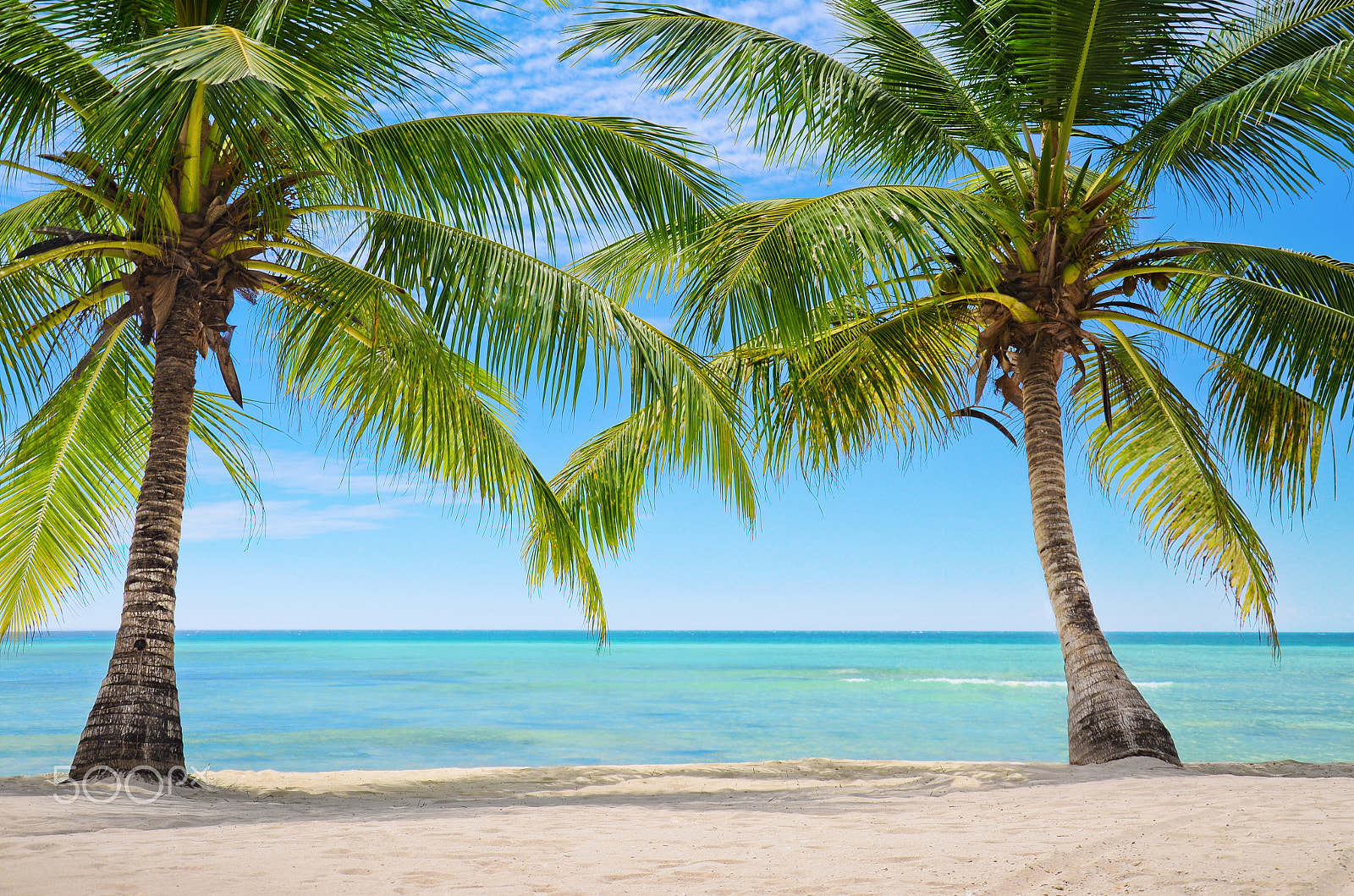 AF Zoom-Nikkor 35-80mm f/4-5.6D N sample photo. Palm trees on the background of a beautiful carribean sea photography