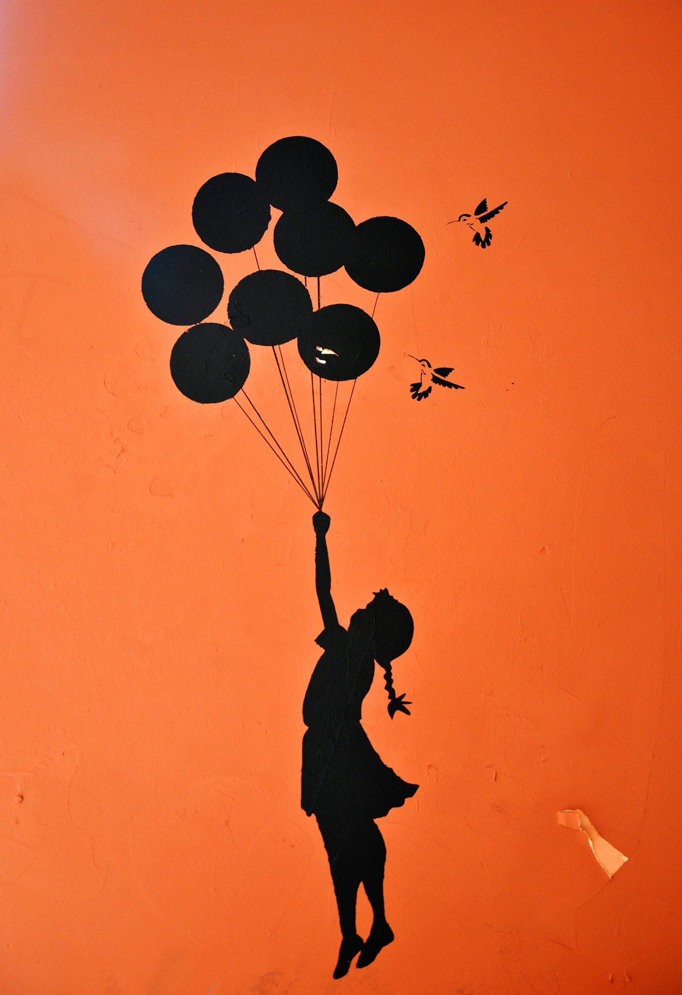 AF Zoom-Nikkor 75-300mm f/4.5-5.6 sample photo. Quasi come banksy - pratello bologna photography