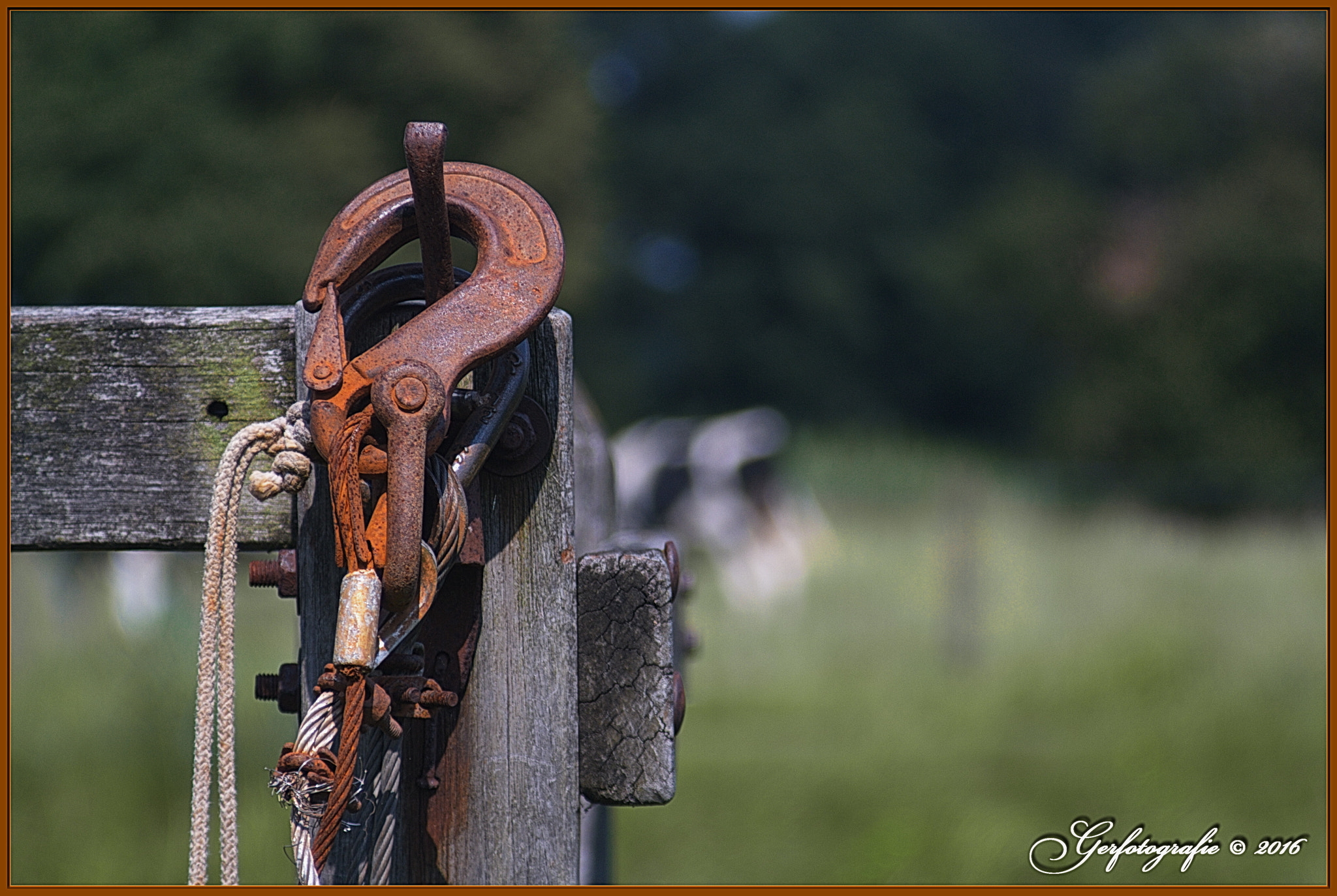 Canon EOS 1000D (EOS Digital Rebel XS / EOS Kiss F) sample photo. Old hook photography