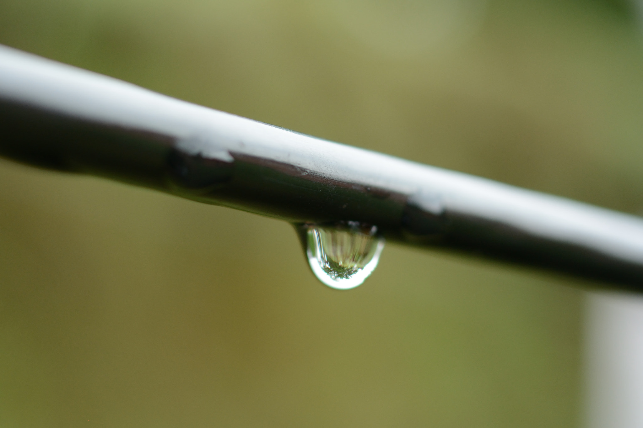 Nikon D7100 + Tokina AT-X Pro 35mm F2.8 Macro DX sample photo. Rain drop photography