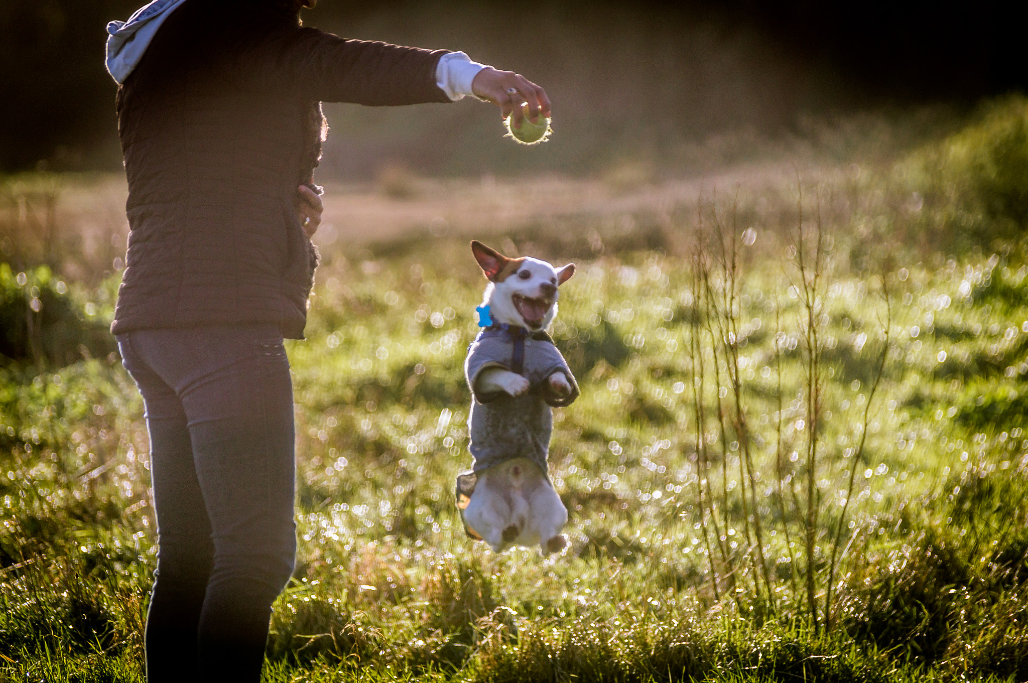 Sony 75-300mm F4.5-5.6 sample photo. Happy max/ fun time photography