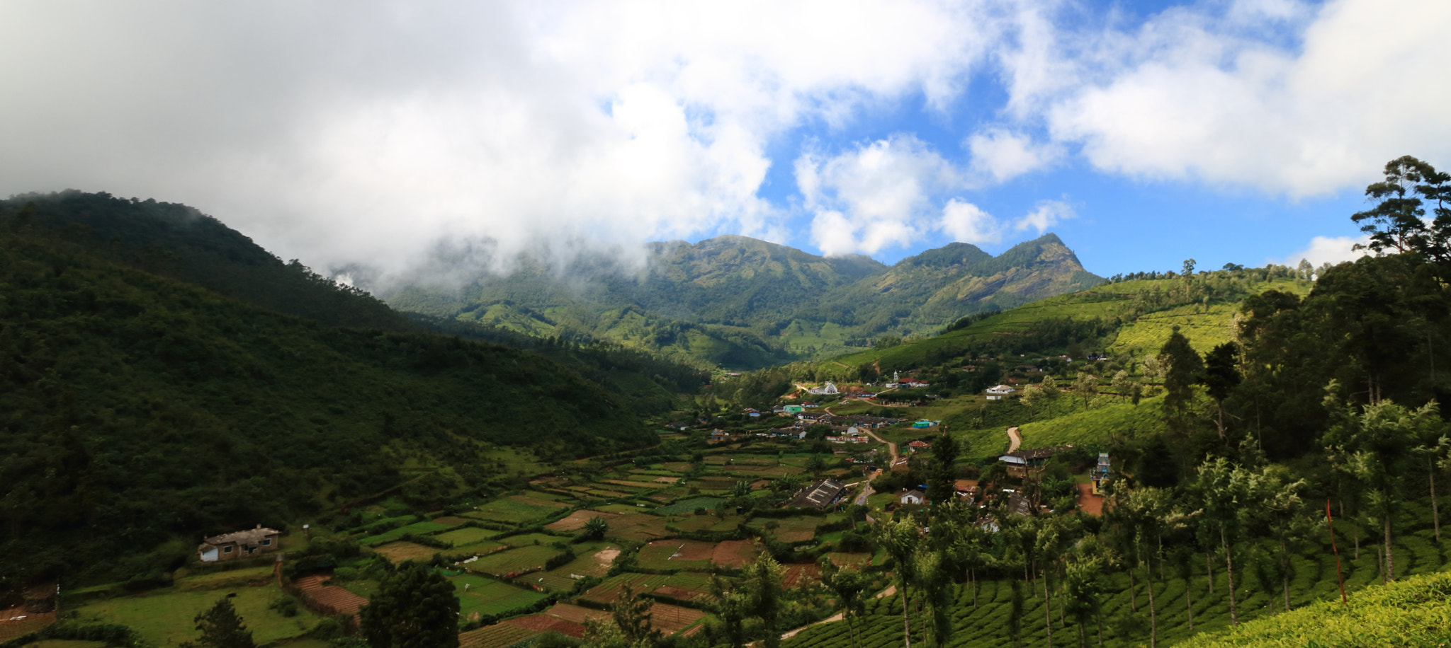 Canon EOS 750D (EOS Rebel T6i / EOS Kiss X8i) + Canon EF-S 10-18mm F4.5–5.6 IS STM sample photo. Munnar hills photography