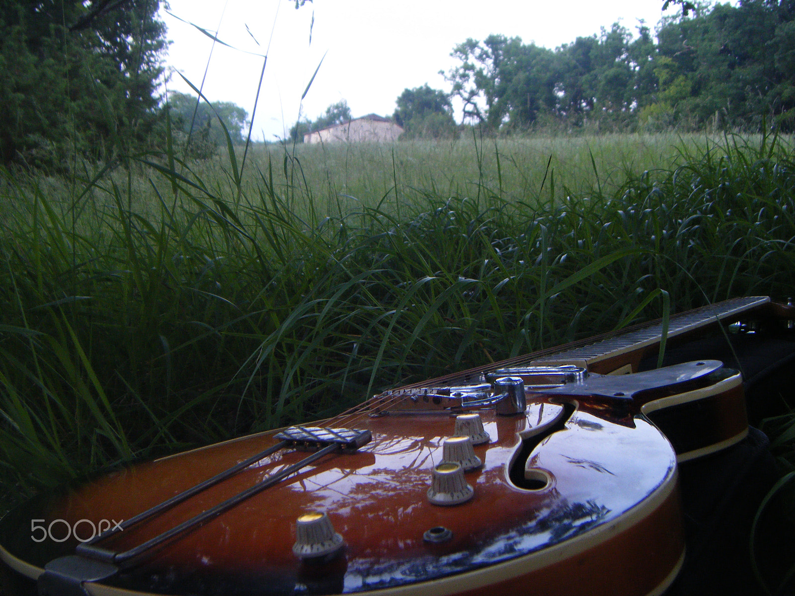 Fujifilm FinePix Z10fd sample photo. Guitar on the grass photography