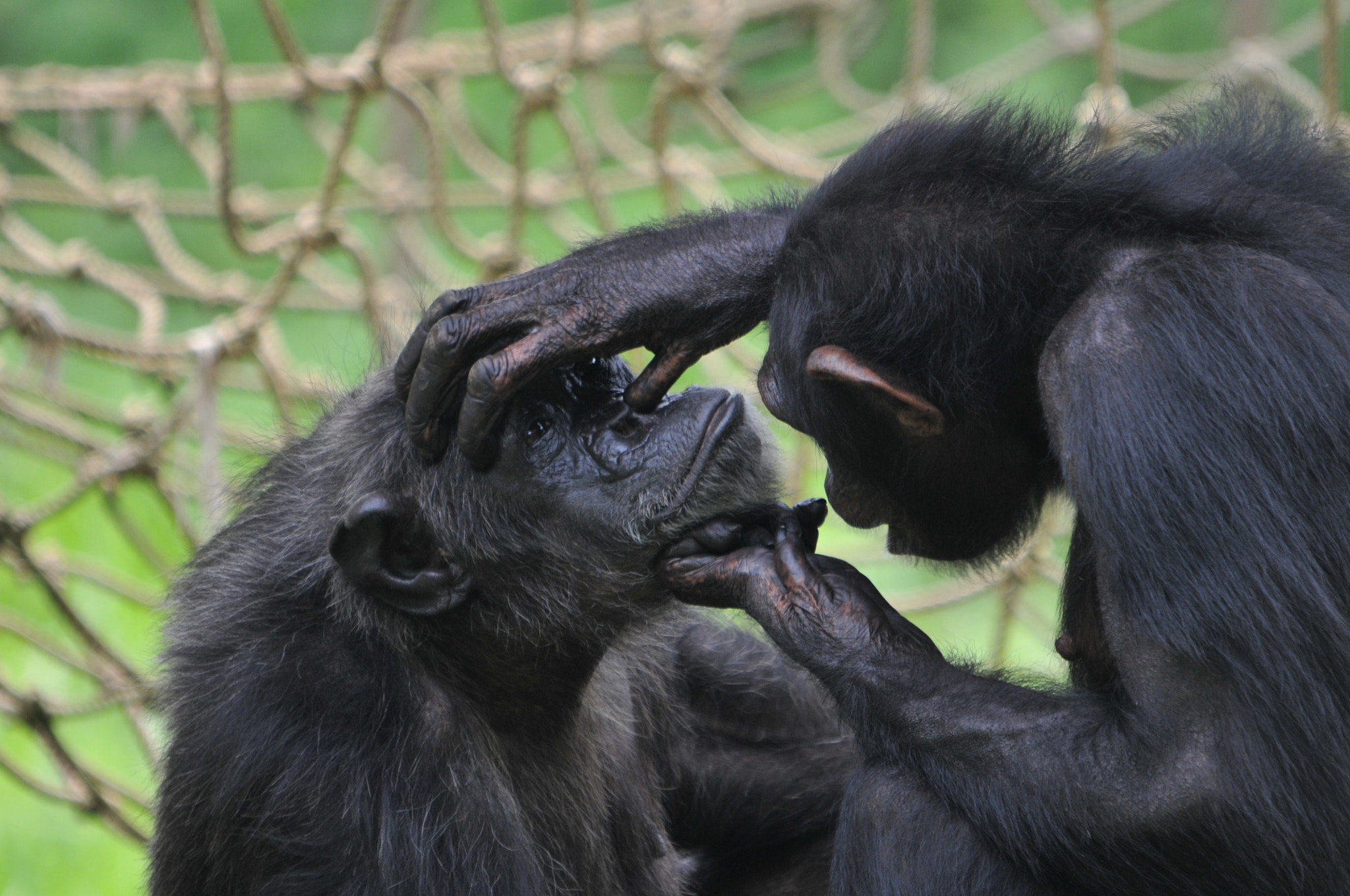 Sigma 150-500mm F5-6.3 DG OS HSM sample photo. How are you photography