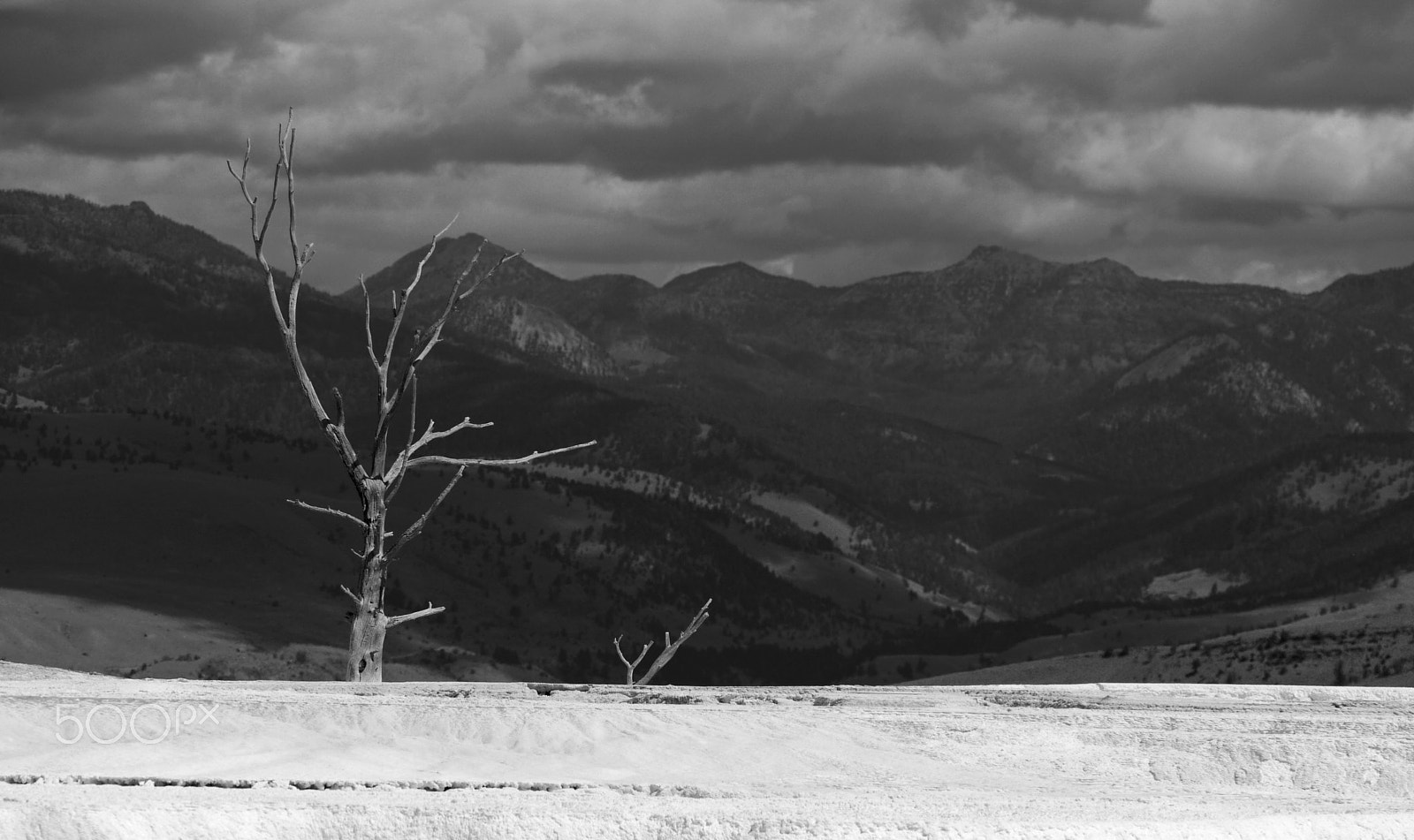 Panasonic Lumix DMC-GH1 sample photo. Dry outlook photography