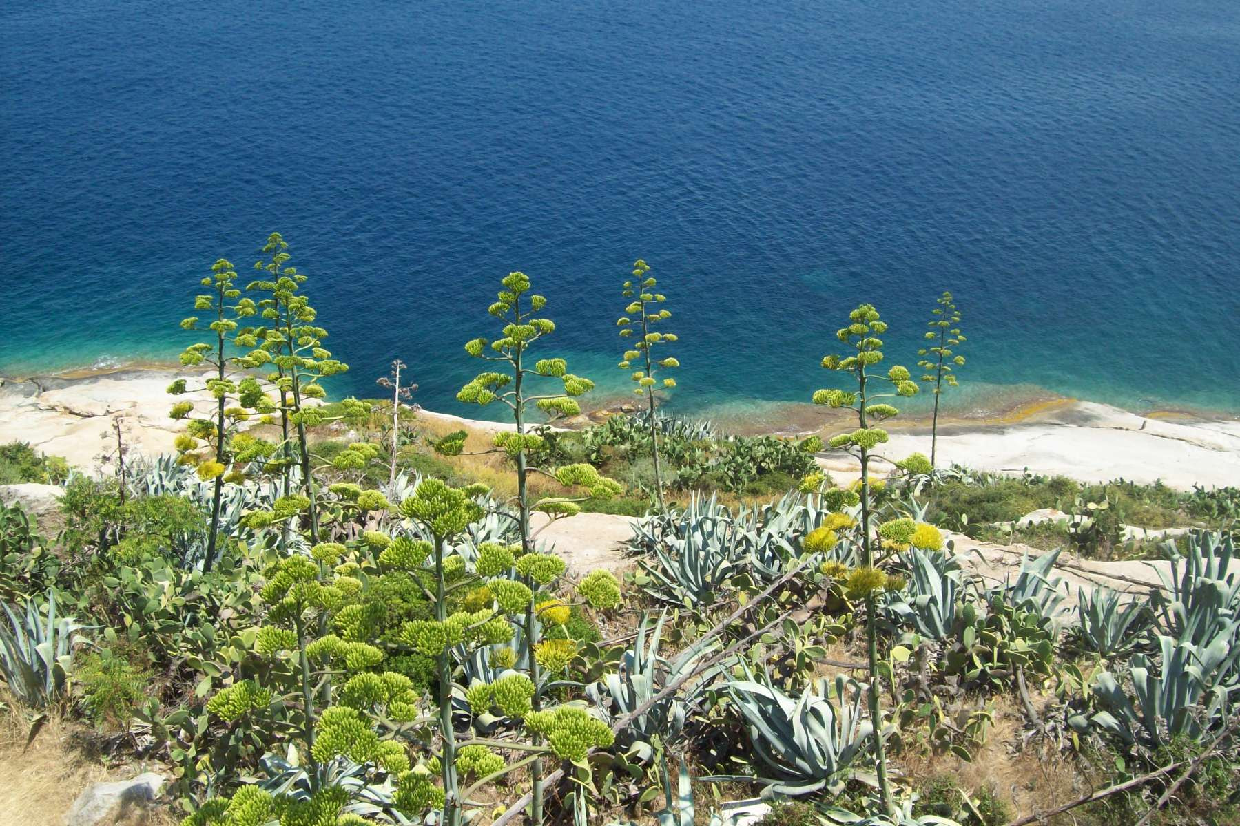 Kodak EASYSHARE C813 ZOOM DIGITAL CAMERA sample photo. Corsica.jpg photography