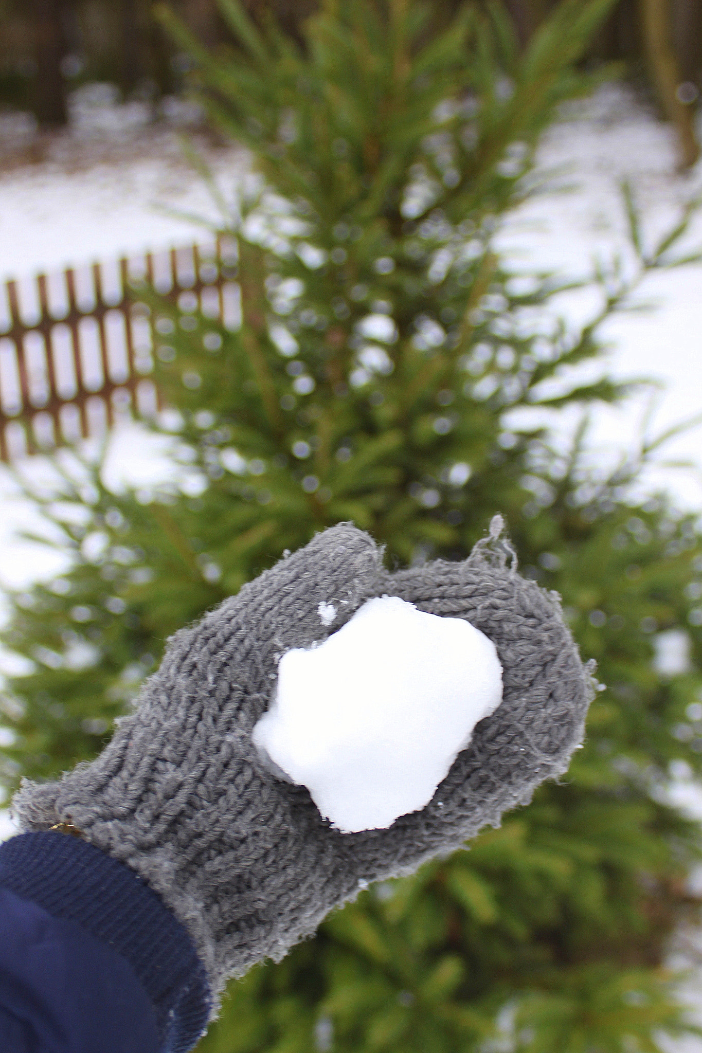 Canon EF 28-90mm f/4-5.6 sample photo. Snow ball photography