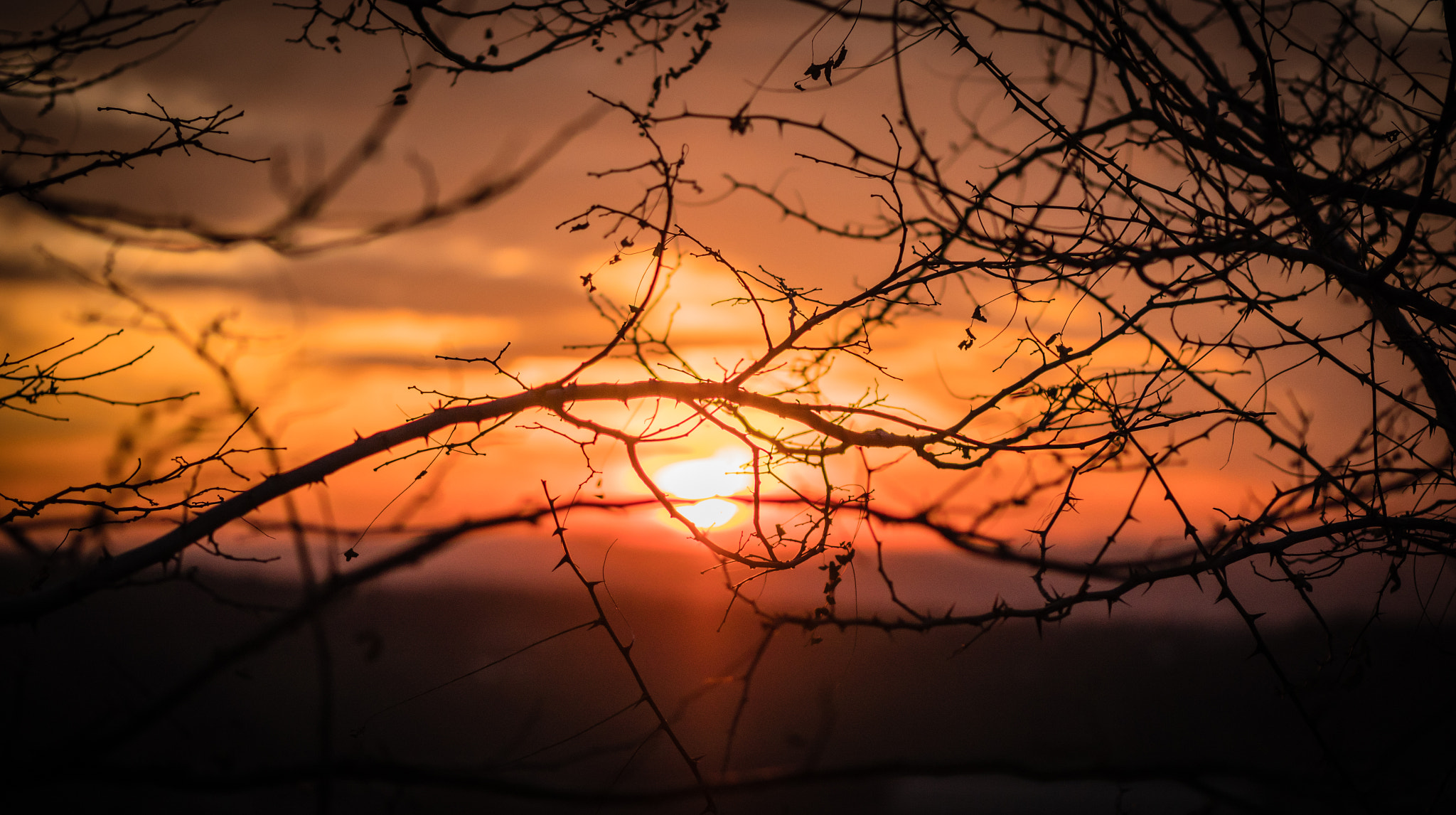 Panasonic Leica DG Nocticron 42.5mm F1.2 ASPH OIS sample photo. Magic hour photography