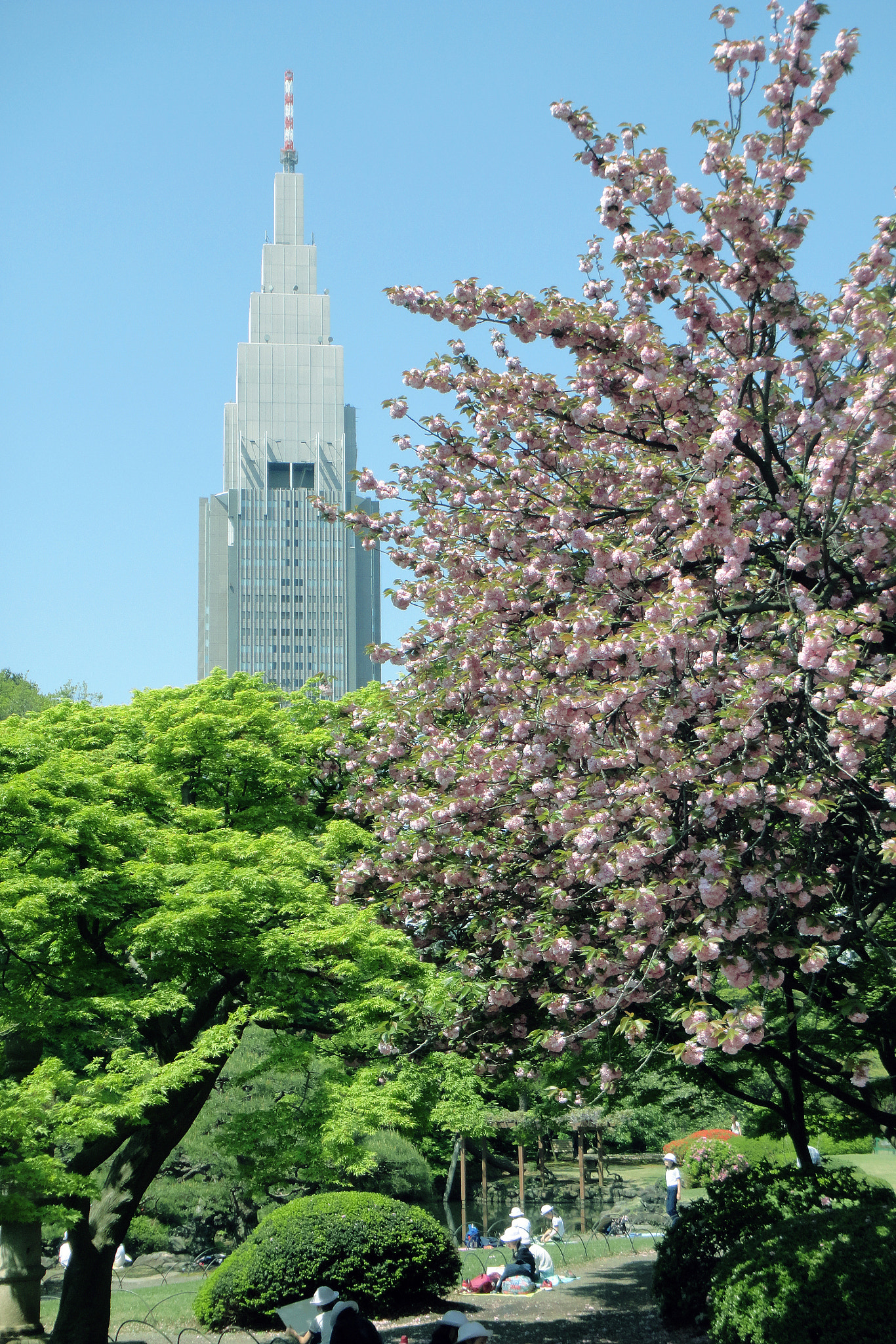 Sony DSC-T110 sample photo. Yoyogipark.jpg photography