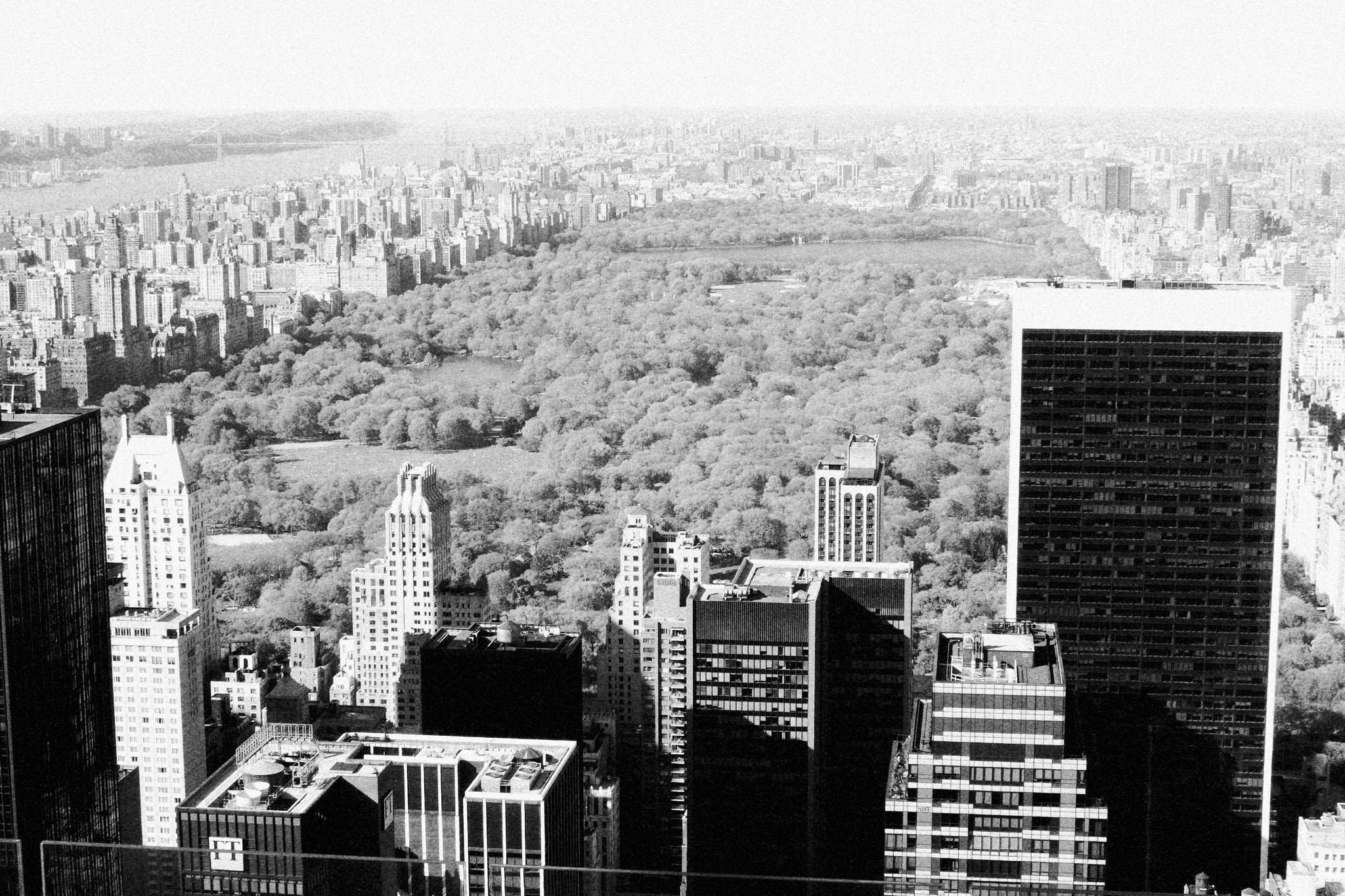Fujifilm FinePix F11 sample photo. Nyctonks photography