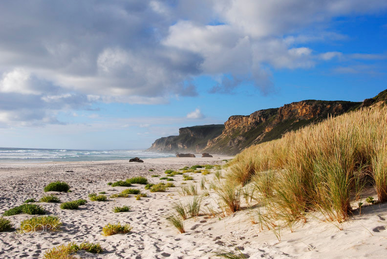 Sigma 18-250mm F3.5-6.3 DC OS HSM sample photo. Salmon beach, australia photography
