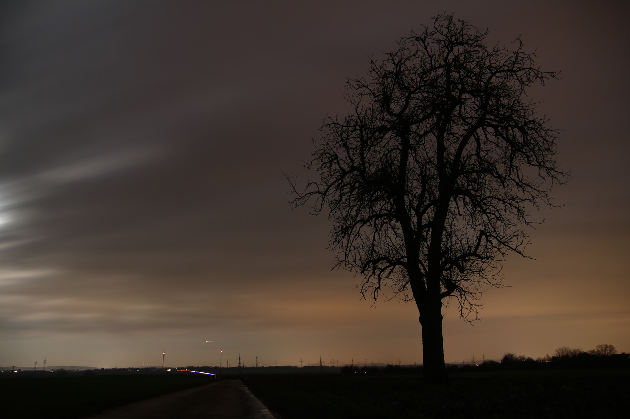 Tamron SP AF 17-50mm F2.8 XR Di II LD Aspherical (IF) sample photo. Tree at night photography