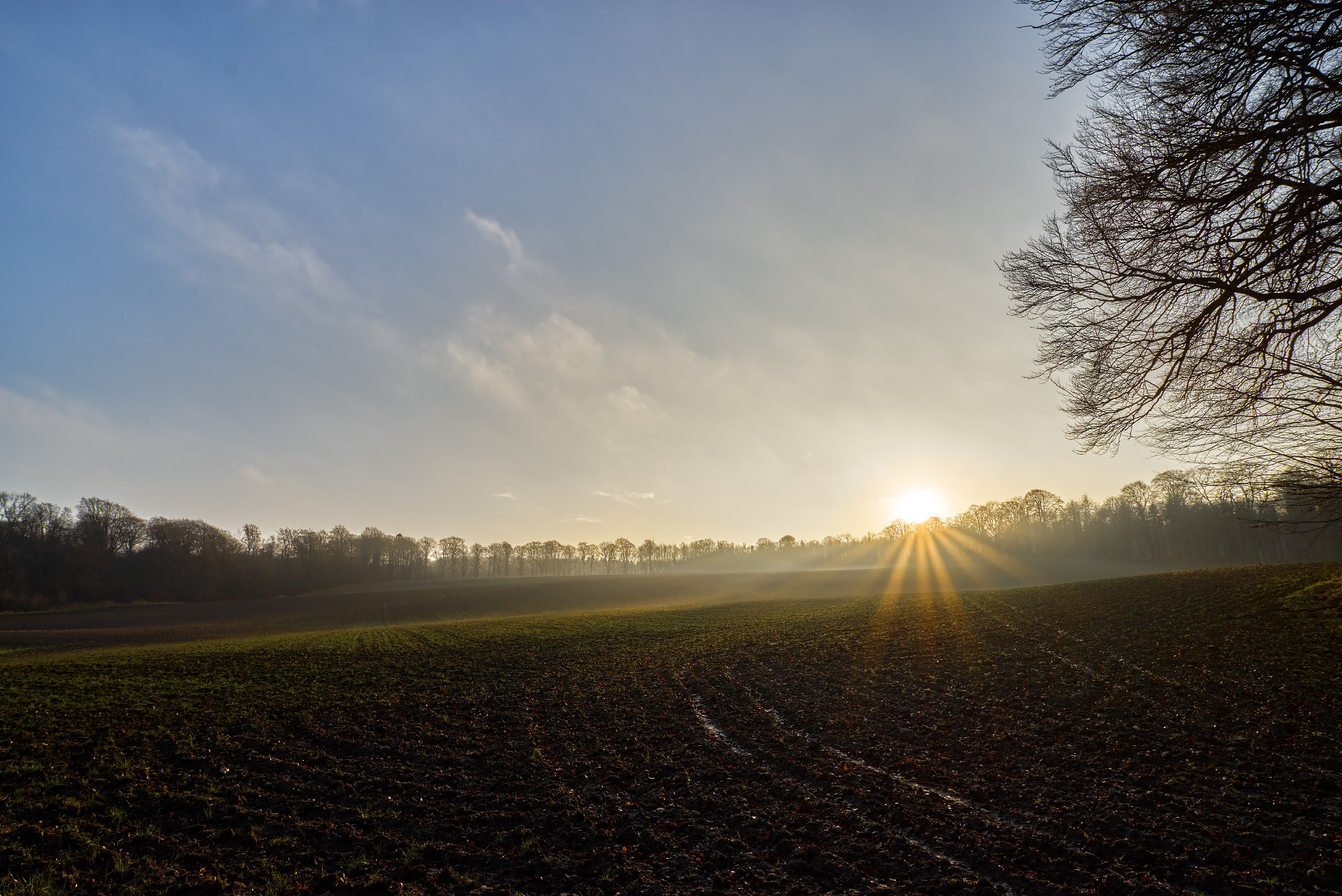 20mm F1.4 sample photo. Sunset photography