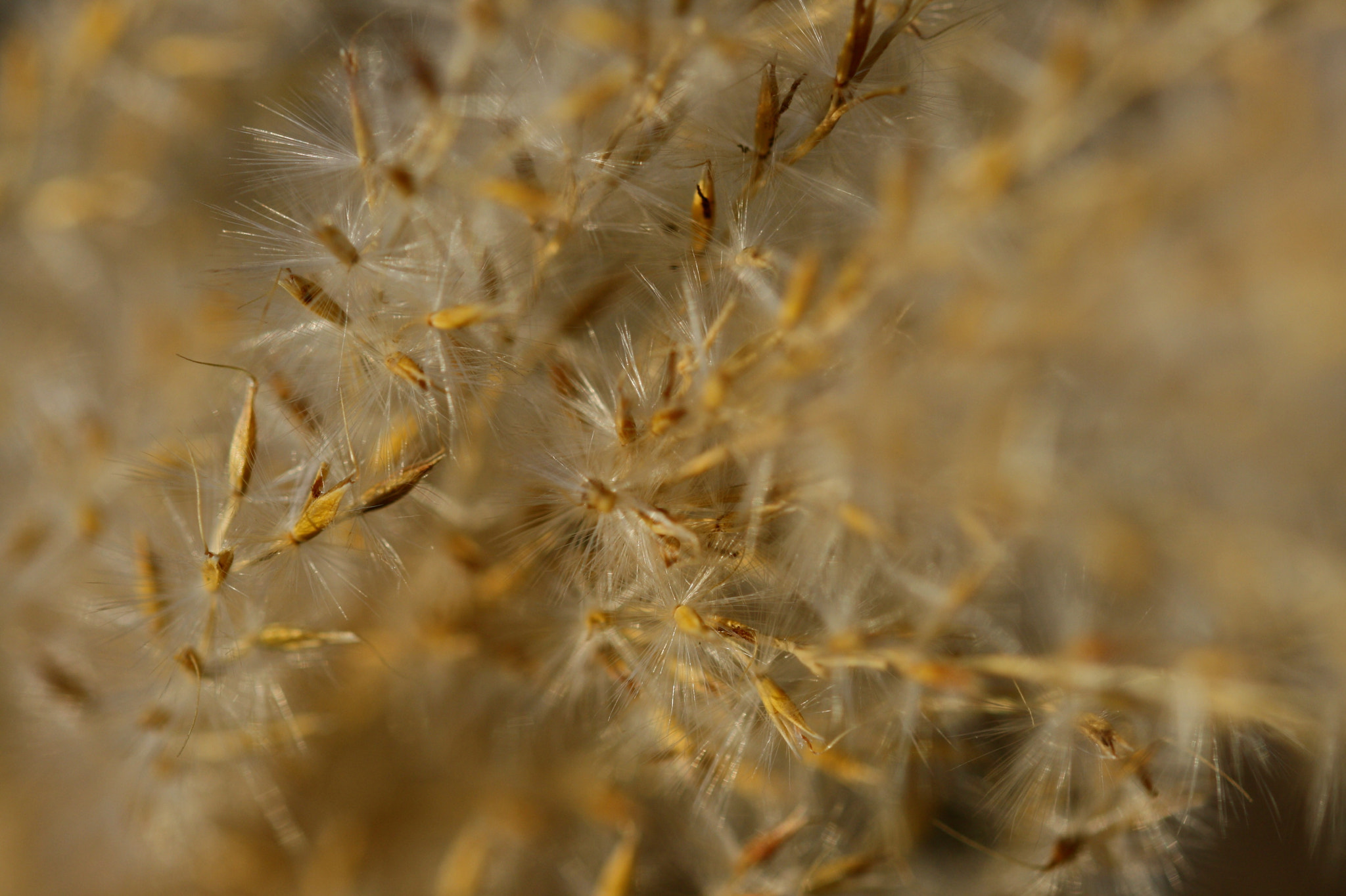 Sigma 105mm F2.8 EX DG OS HSM sample photo. Berlin - weißensee photography