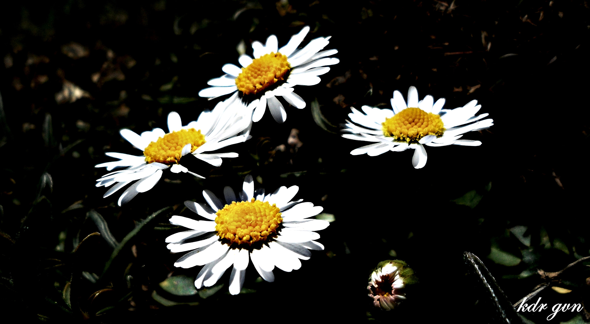 Samsung VLUU ST600, ST600 sample photo. Sam_0256.jpg photography