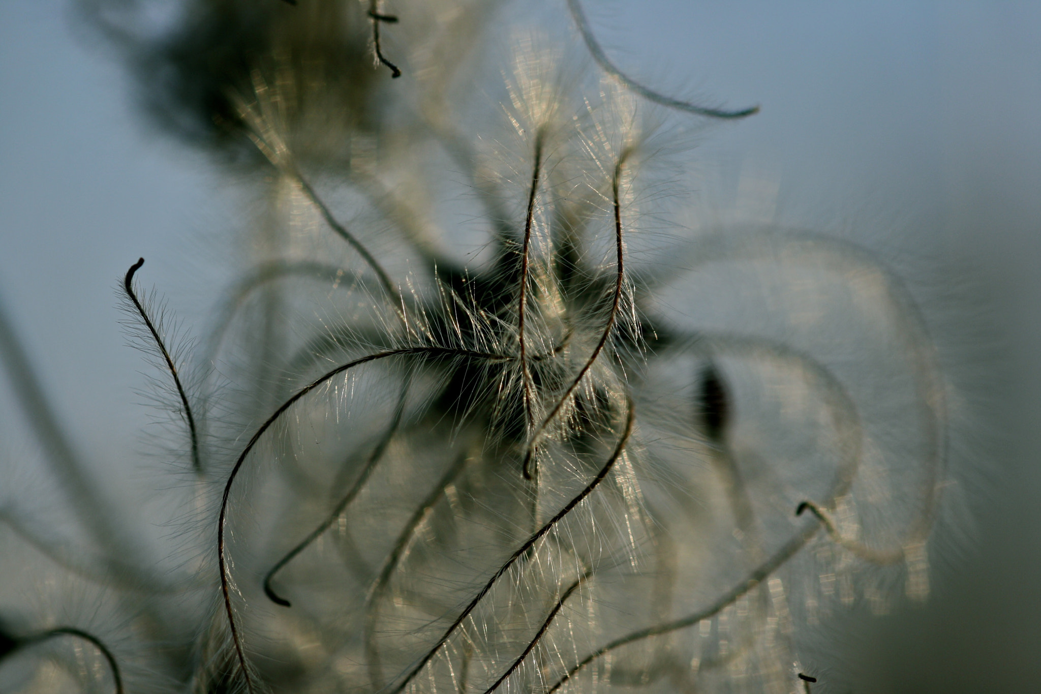 Sigma 105mm F2.8 EX DG OS HSM sample photo. Berlin - weißensee photography