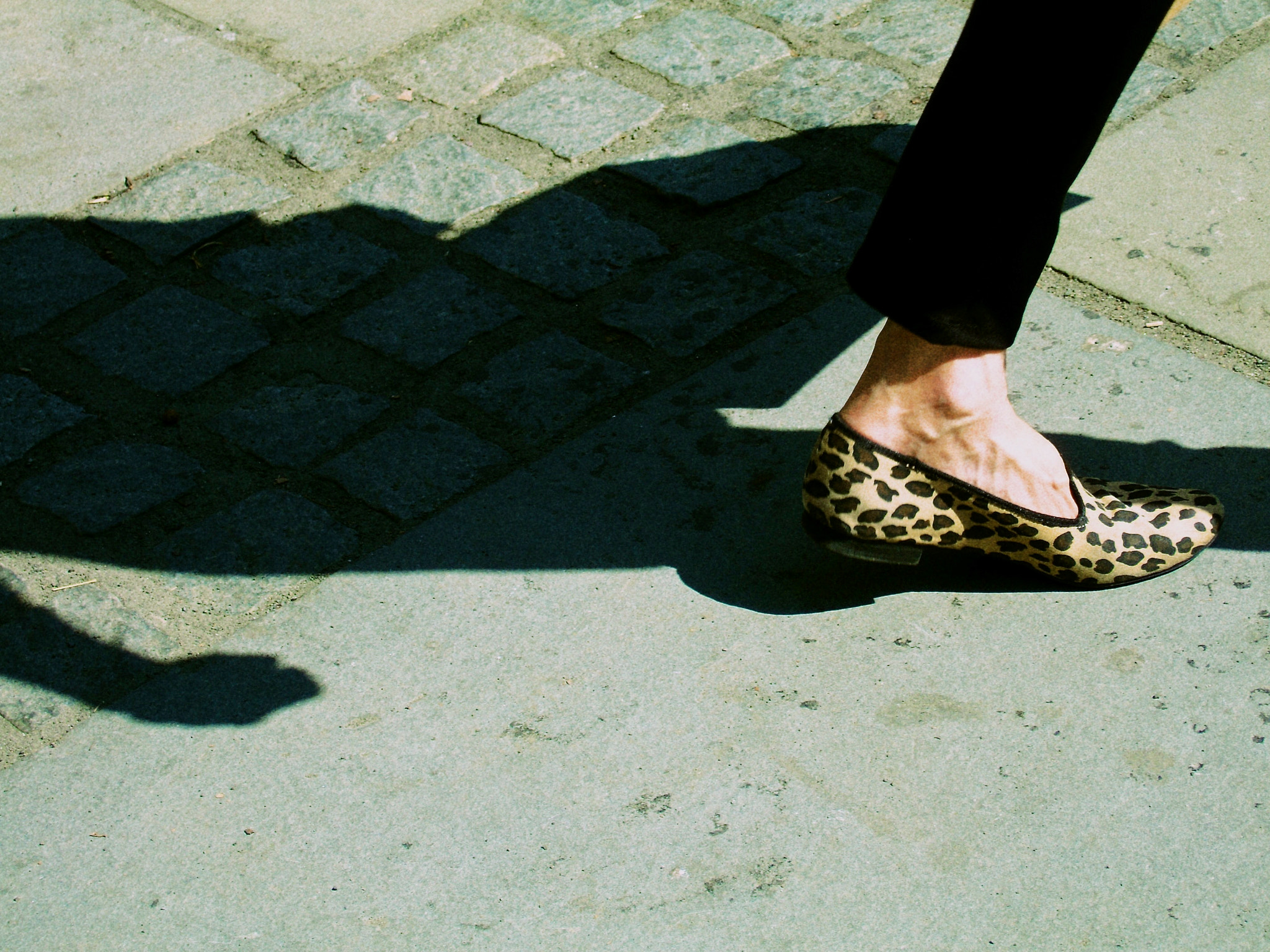 Fujifilm FinePix F11 sample photo. O photography