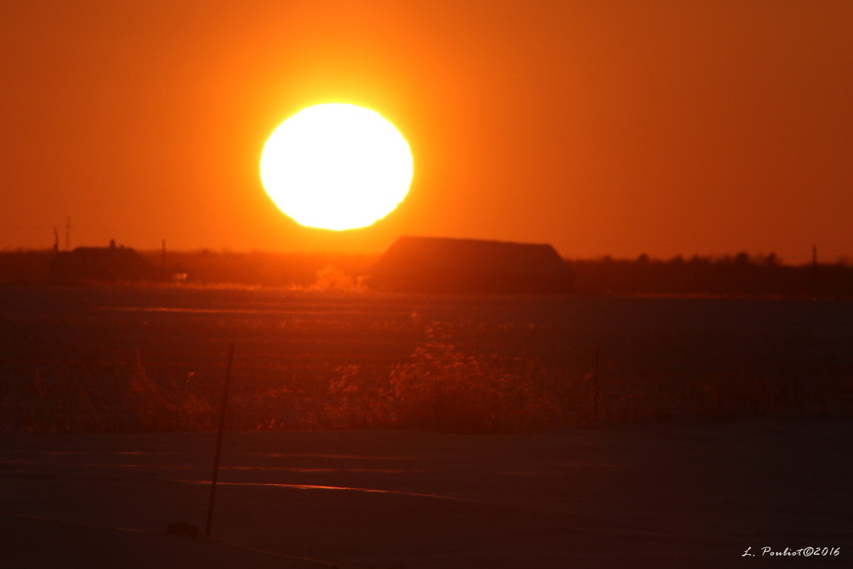 Canon EF 300mm F4L IS USM sample photo. Sunset in winter / coucher de soleil en hiver photography