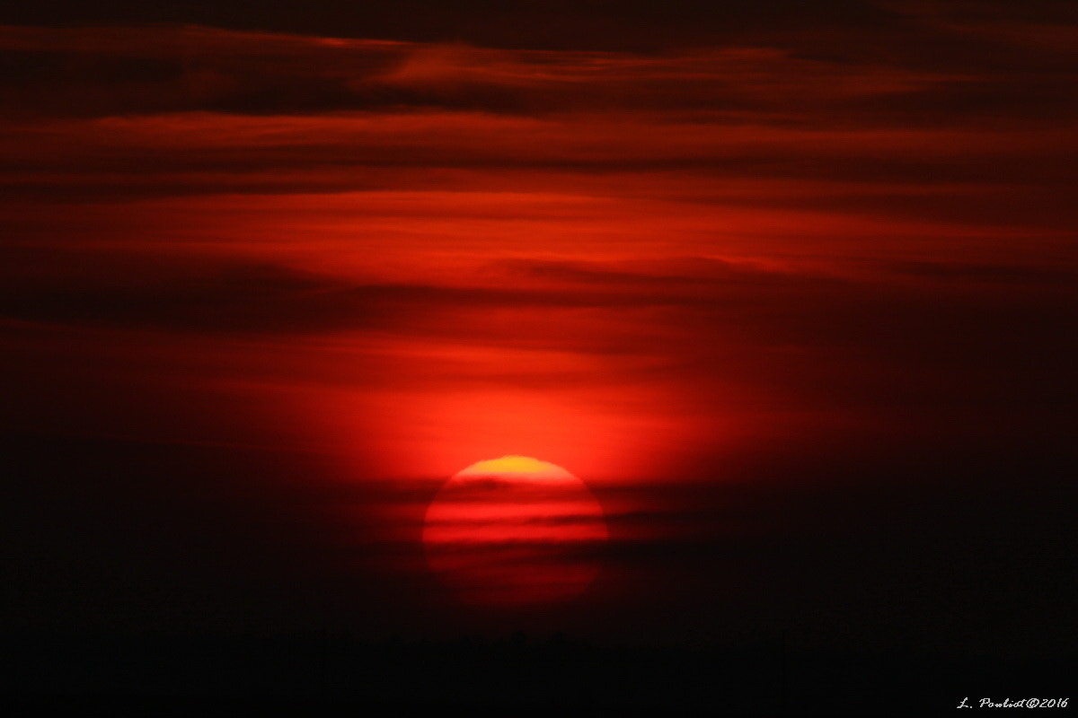 Canon EF 300mm F4L IS USM sample photo. Sunset / coucher de soleil photography