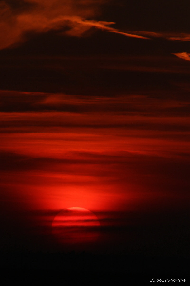 Canon EF 300mm F4L IS USM sample photo. Sunset / coucher de soleil photography