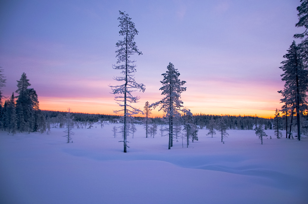 Lappland by Gorka Bogdan Miebach Landa on 500px.com