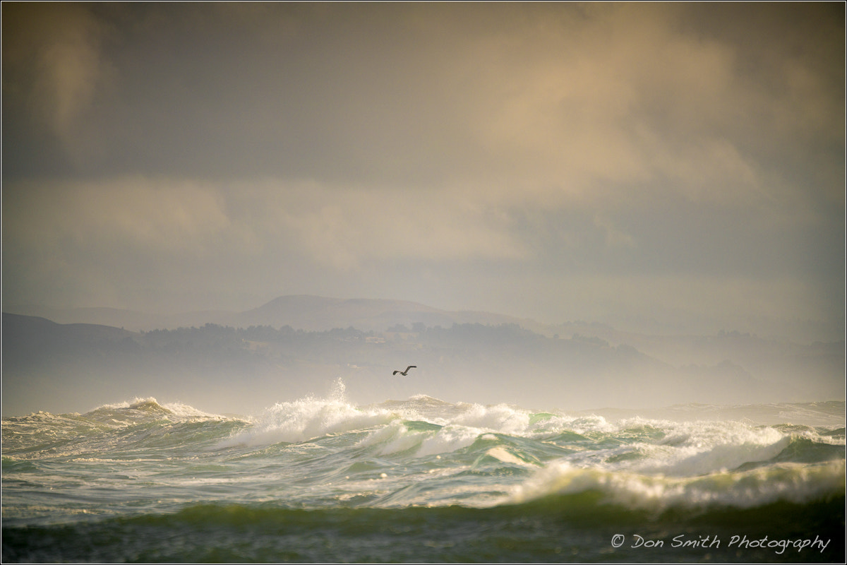 Sony a7R II + Canon EF 400mm F2.8L IS USM sample photo. In flight over mavericks photography