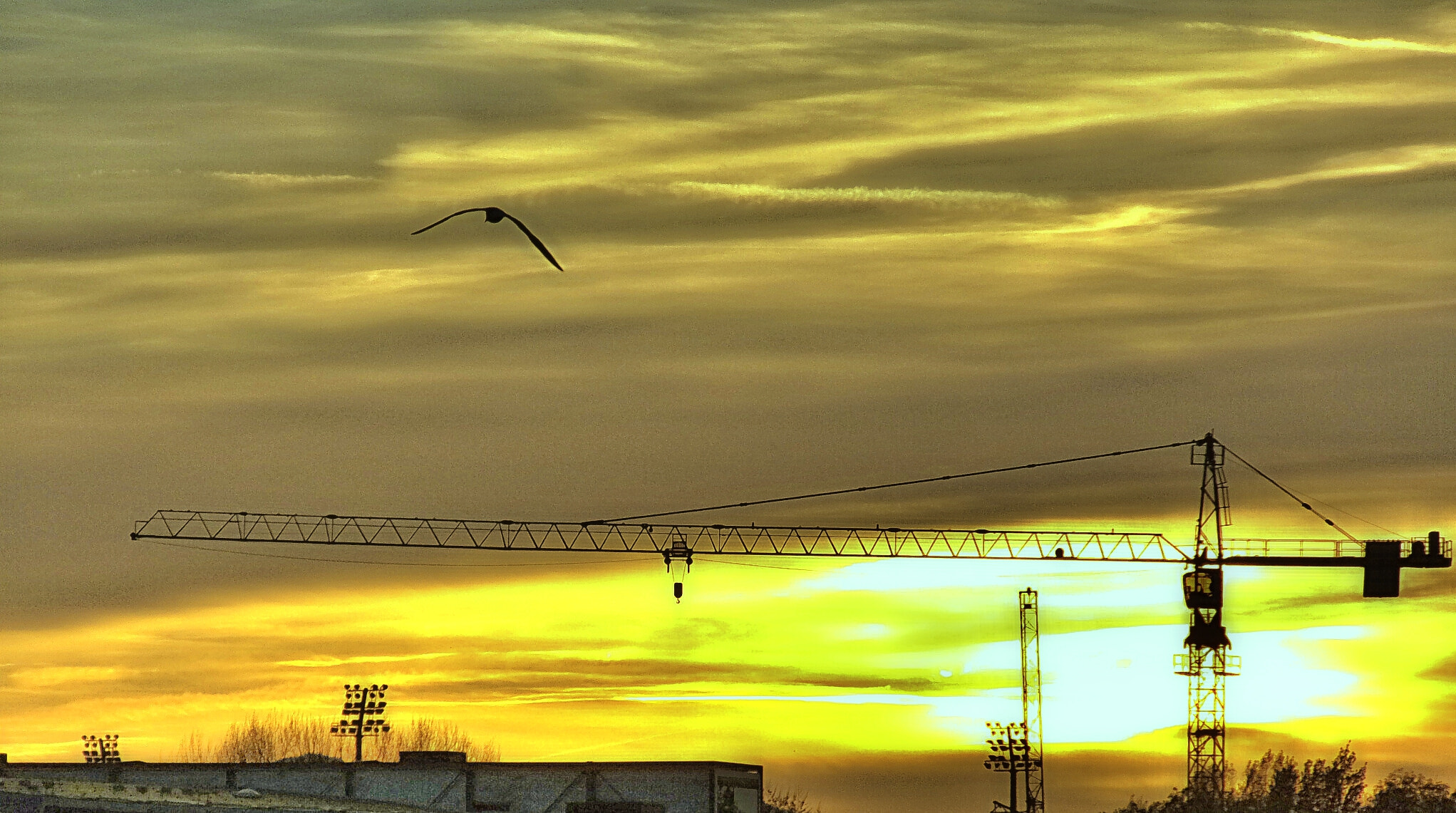 Ricoh HZ15 sample photo. Vogel und kran in bregenz photography