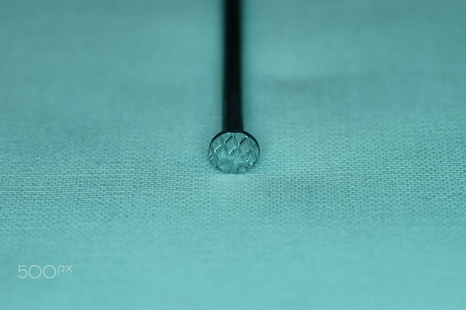 Sigma AF 105mm F2.8 EX [DG] Macro sample photo. Saturday macro photography