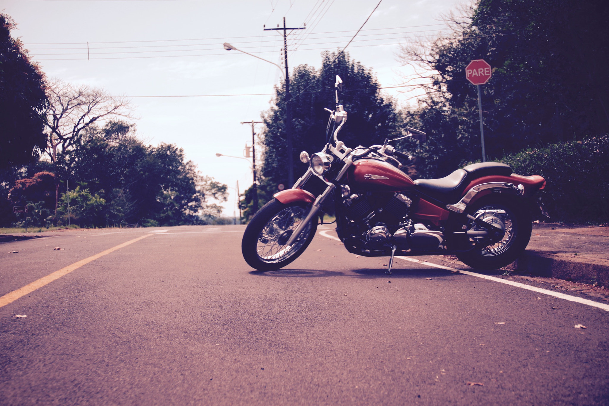 Canon EOS 500D (EOS Rebel T1i / EOS Kiss X3) sample photo. Read for a ride photography