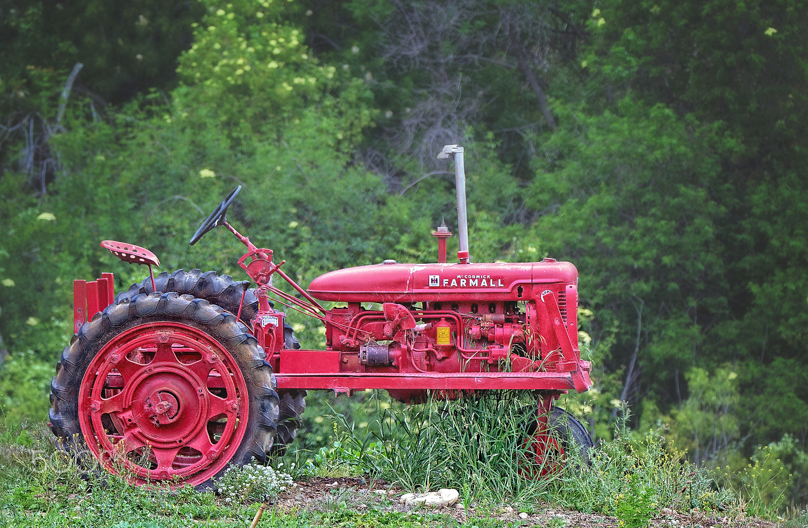 Canon EOS 650D (EOS Rebel T4i / EOS Kiss X6i) + Tamron SP 150-600mm F5-6.3 Di VC USD sample photo. Red tractor photography
